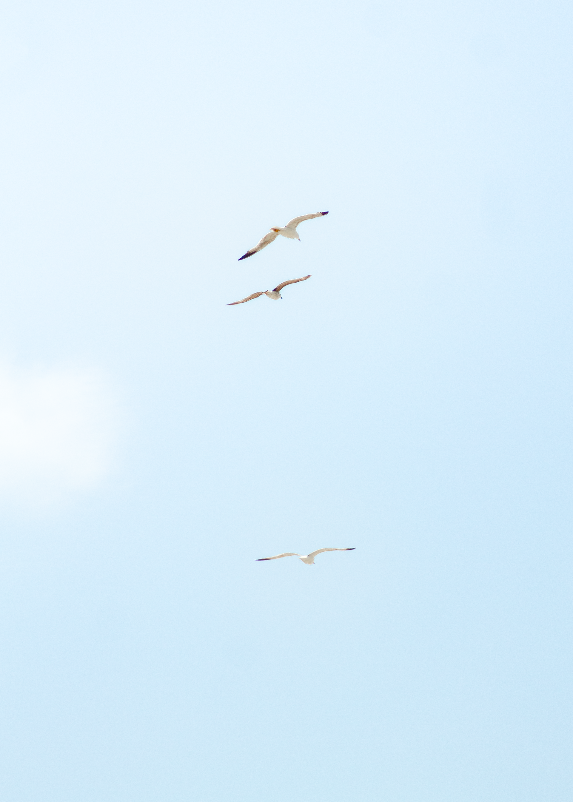 REMEMBER - UP - 07/06/2025