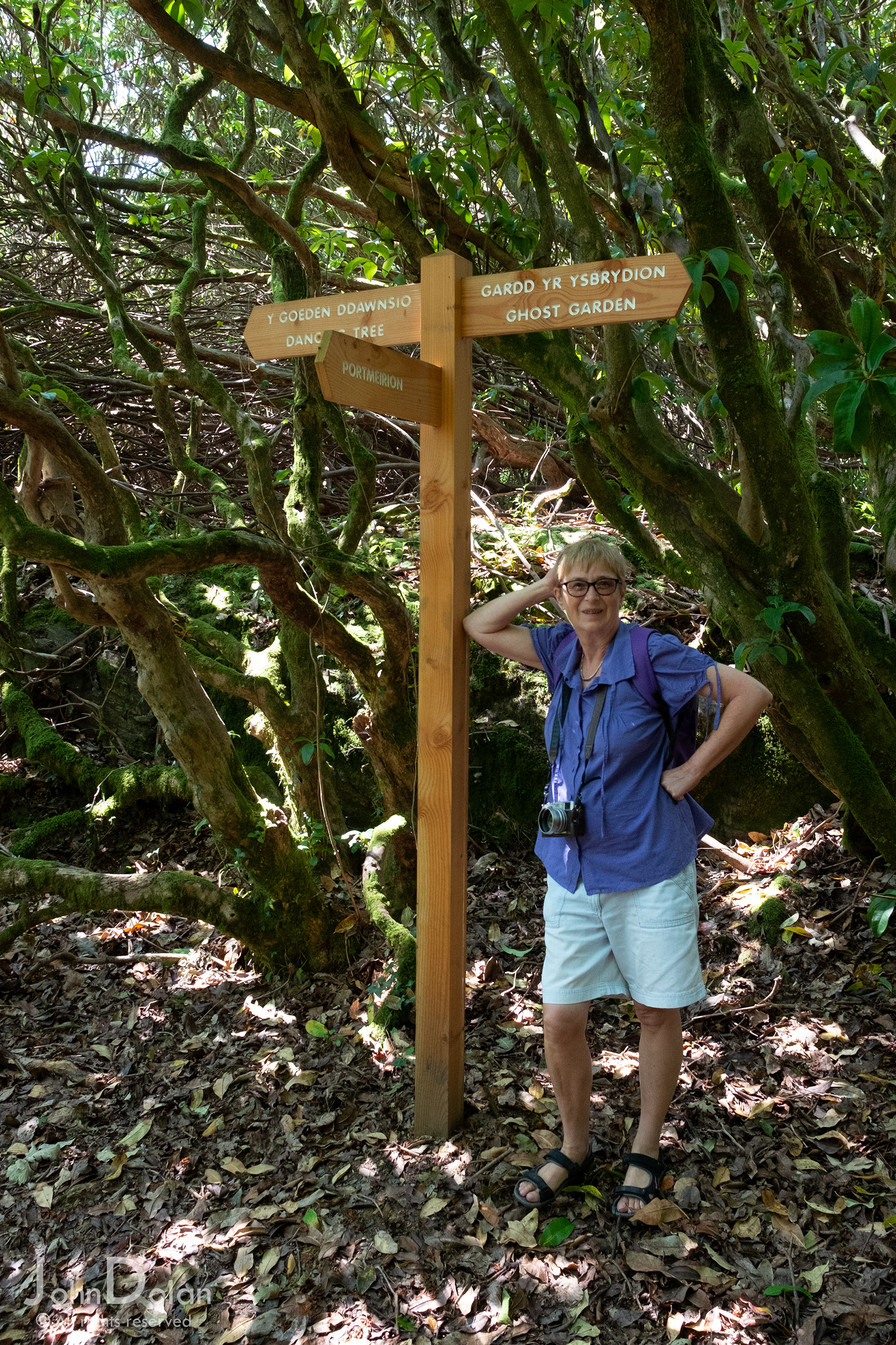 portmeirion | north wales