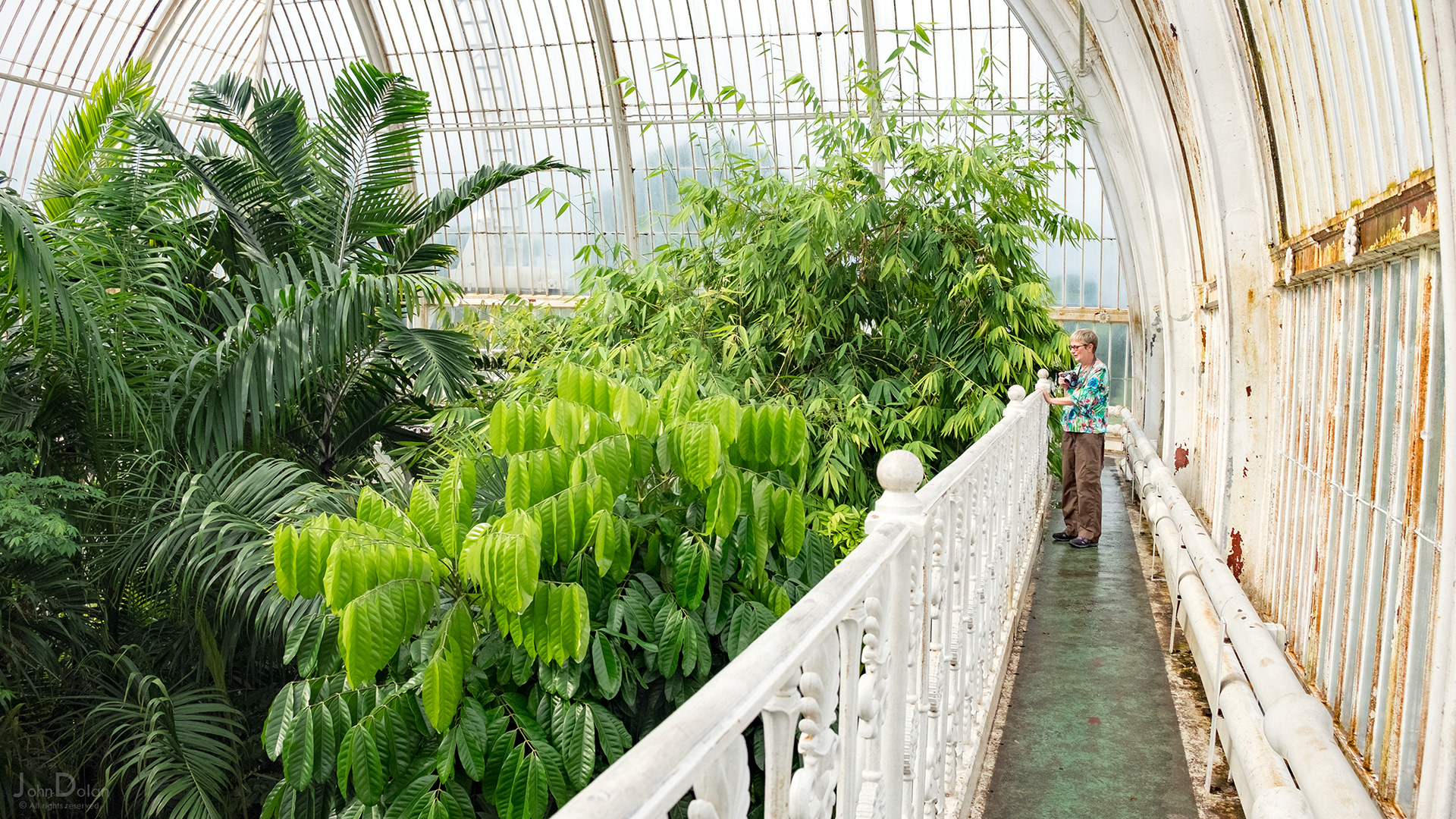 kew gardens | london