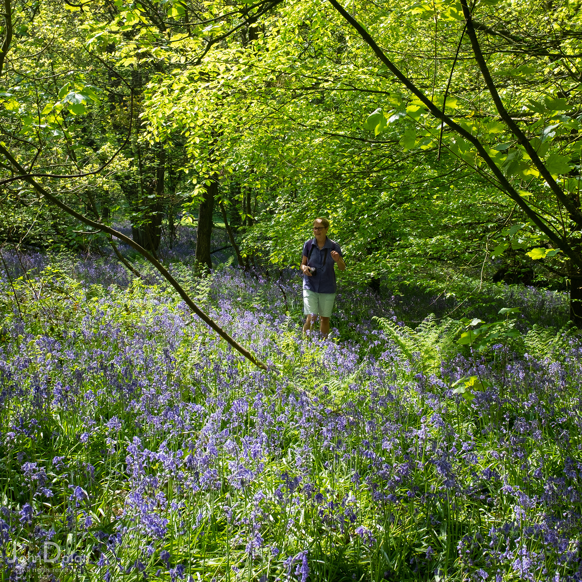 temple newsam | leeds