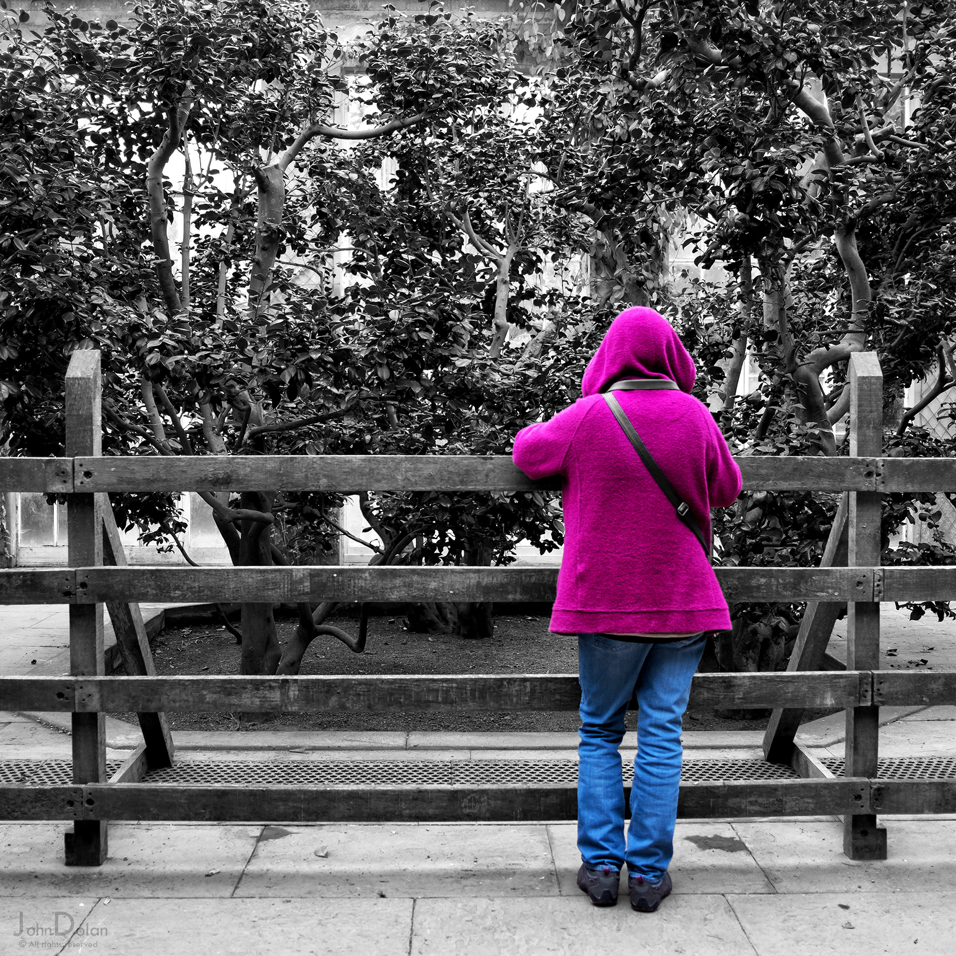 yorkshire sculpture park