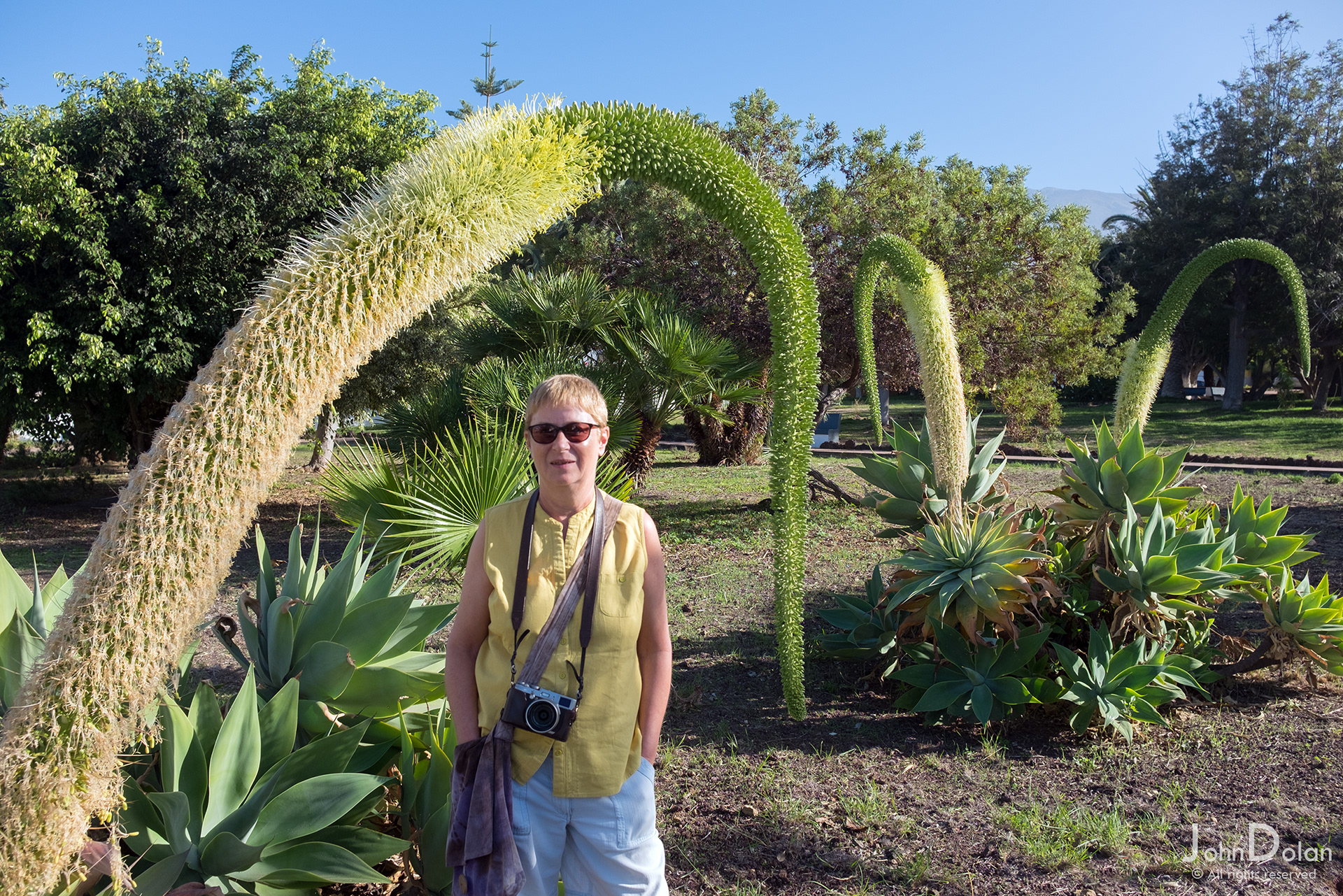 puerto de la cruz | tenerife