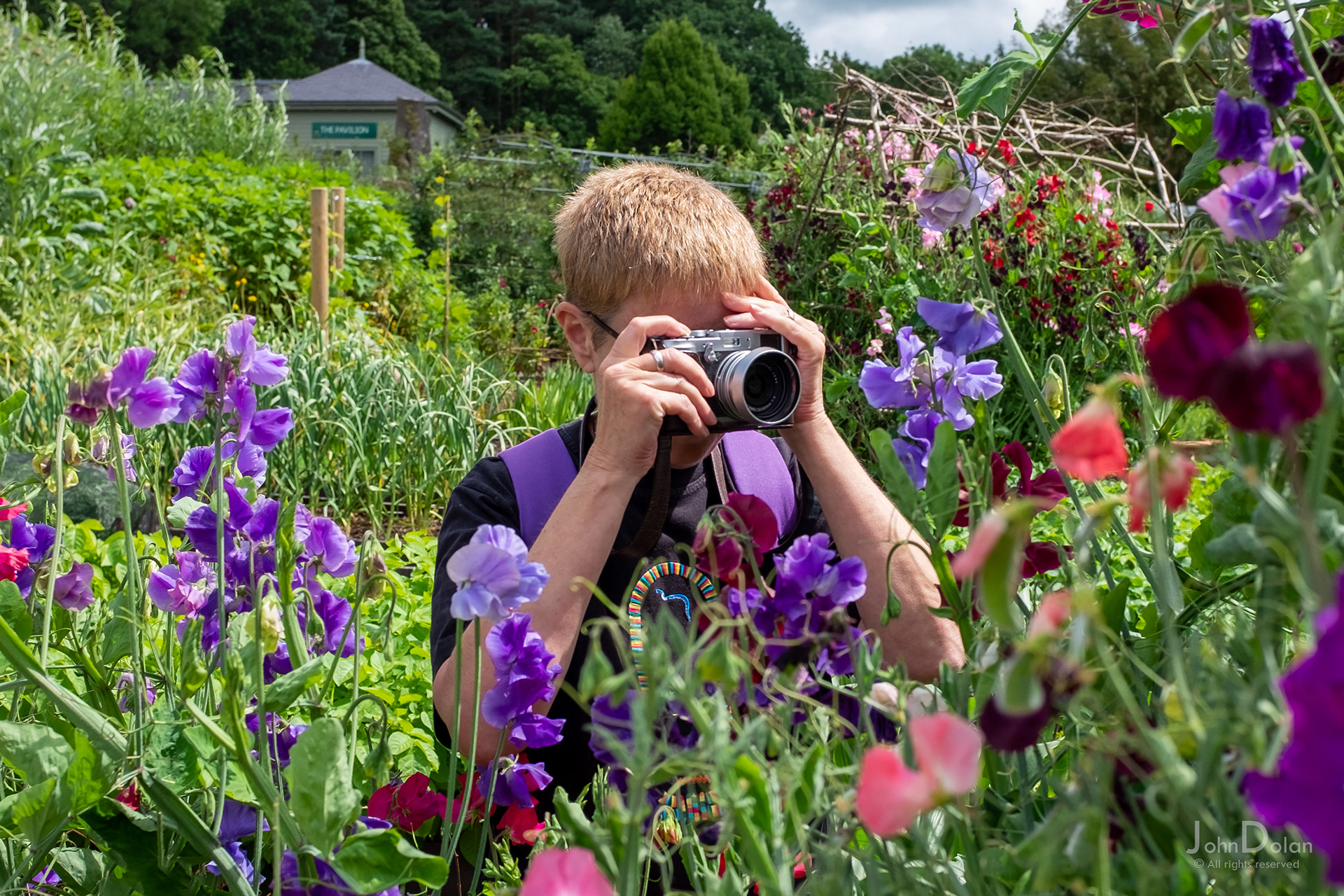 harlow carr rhs | harrogate