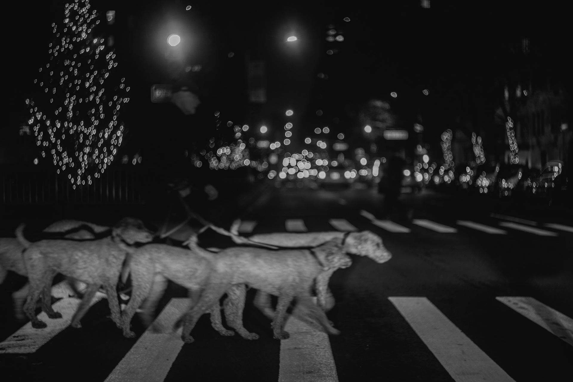 Manhattan