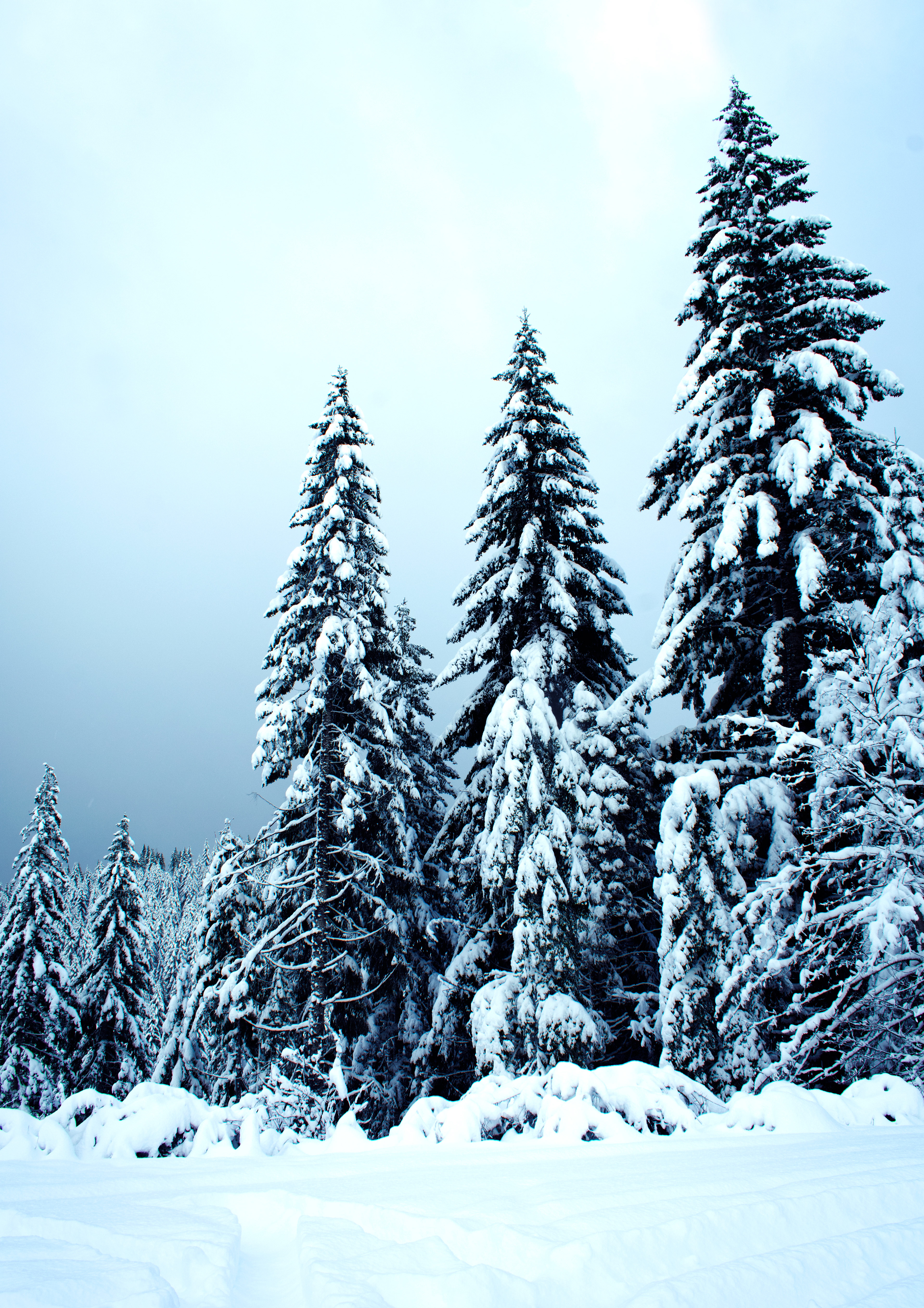 Oregon
