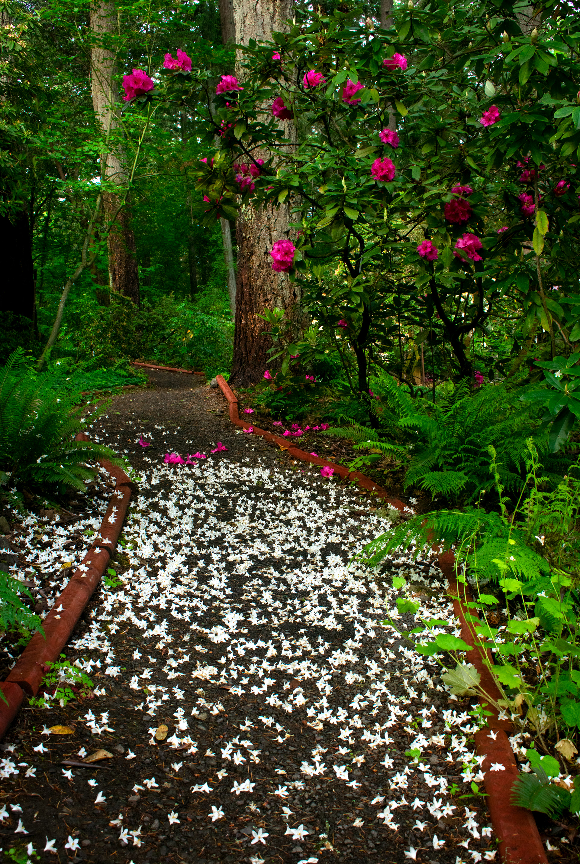 Local park in Oregon
