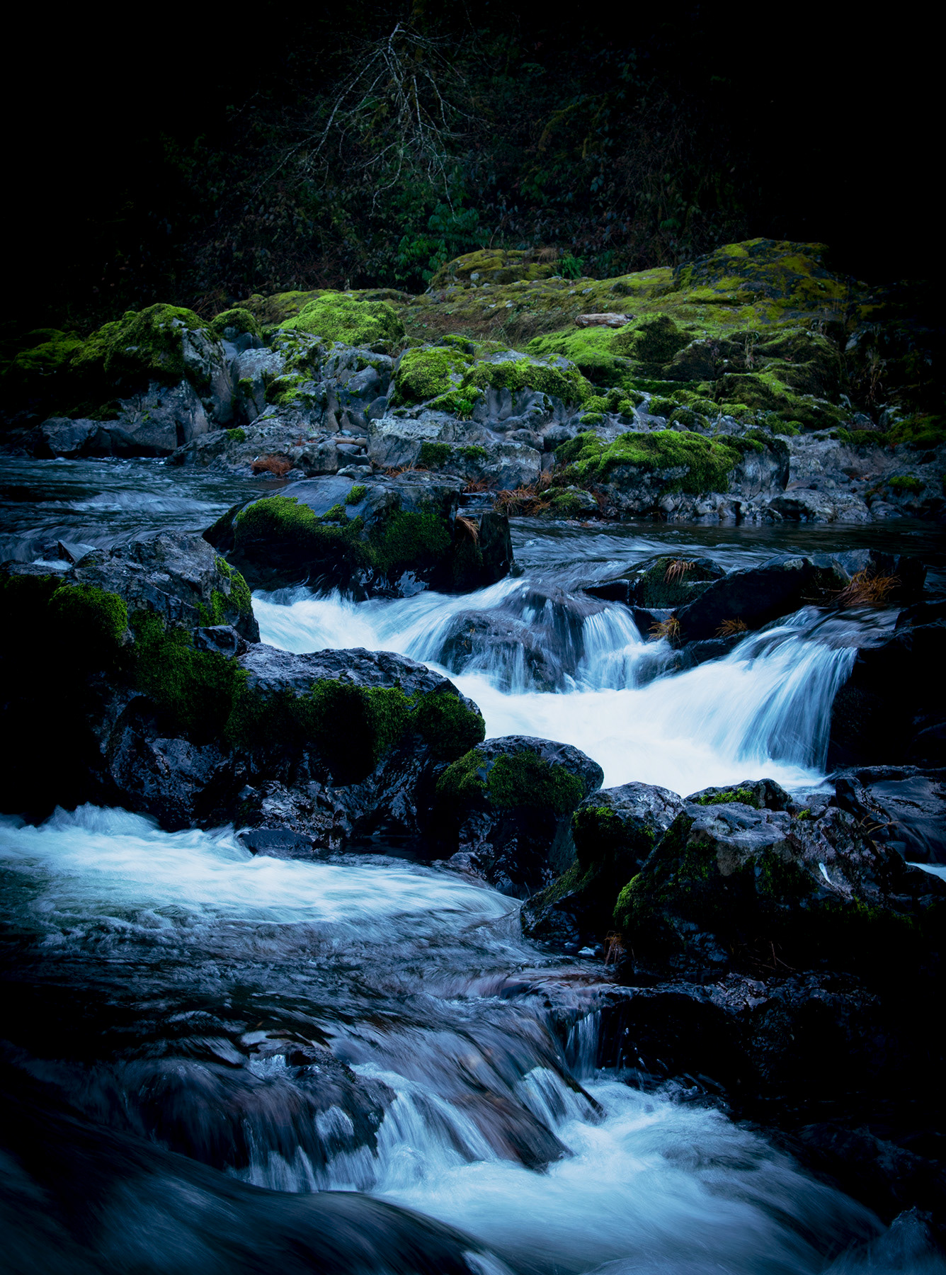 Moulton Falls Regional Park (Washington)