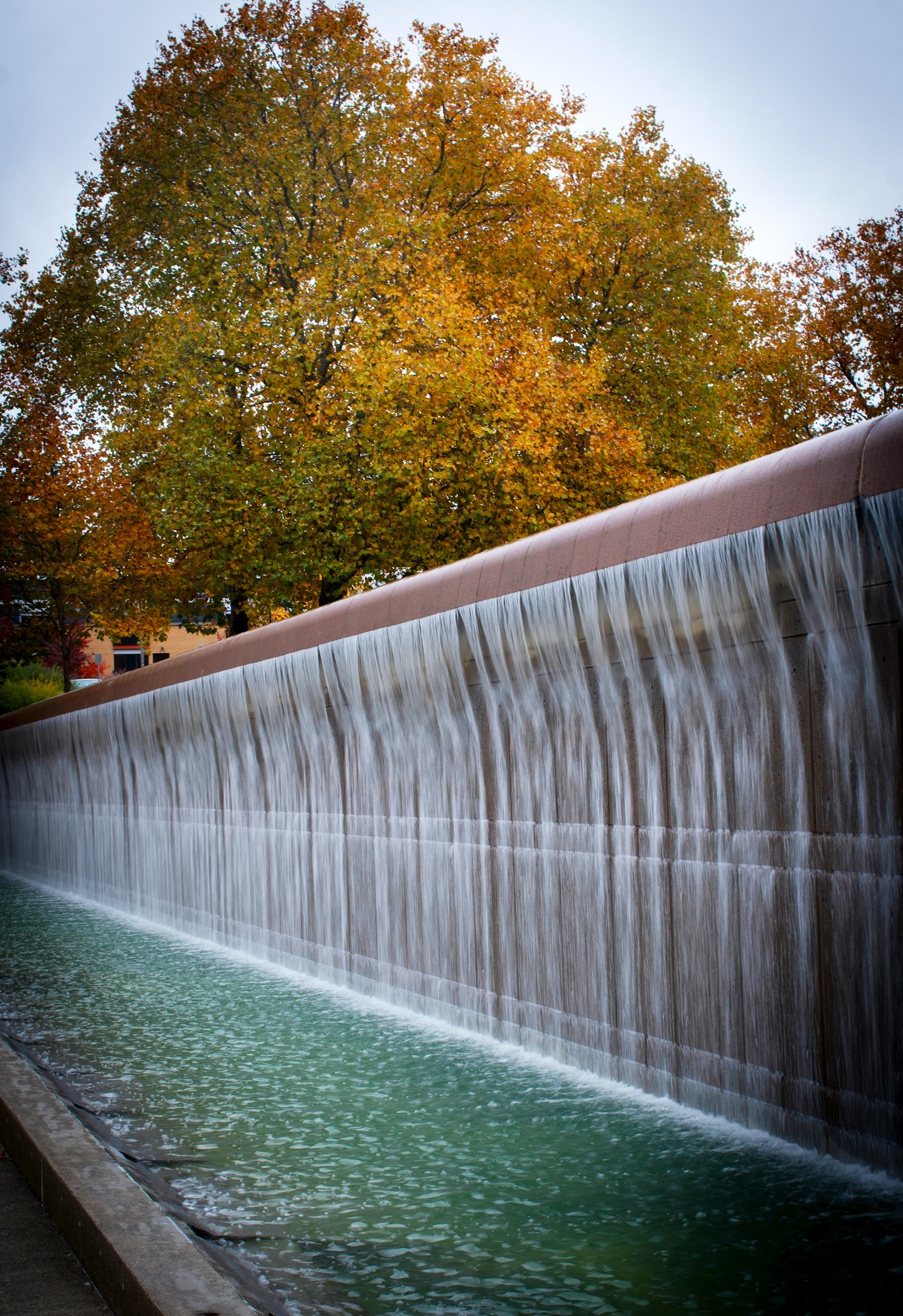 Bellevue Downtown Park