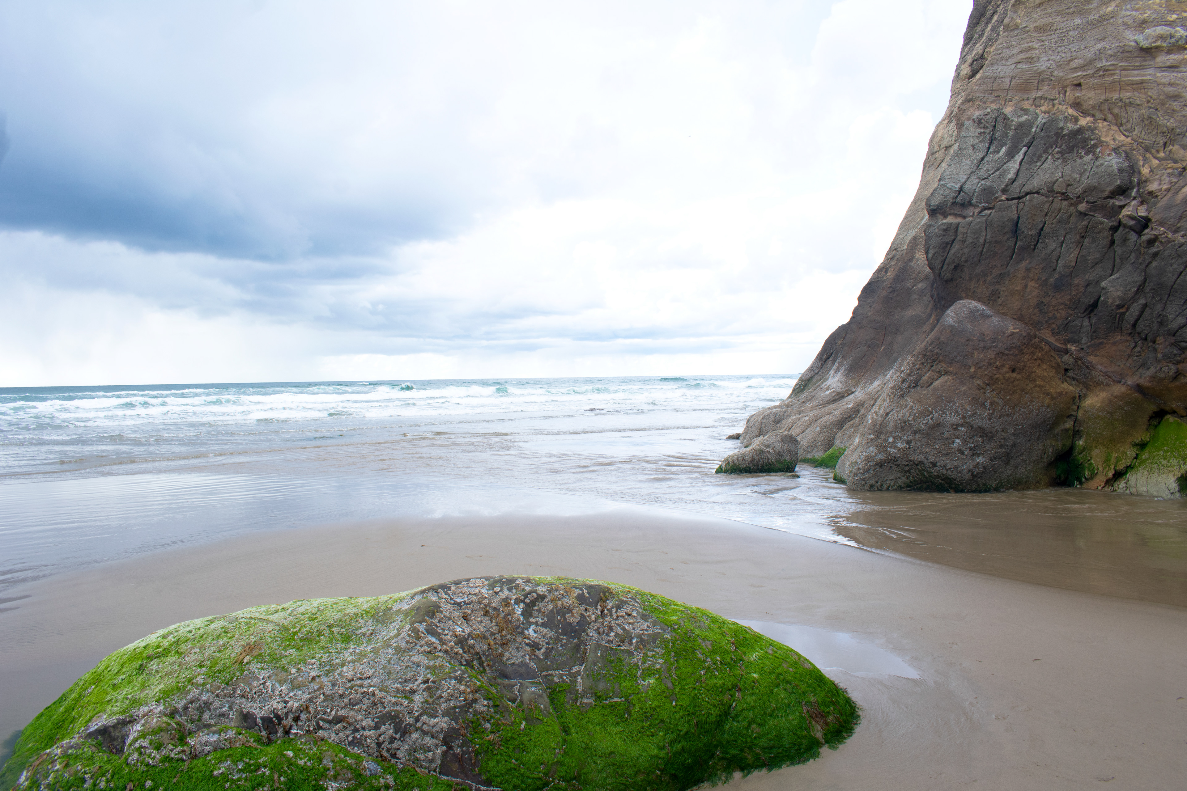 Oregon coast