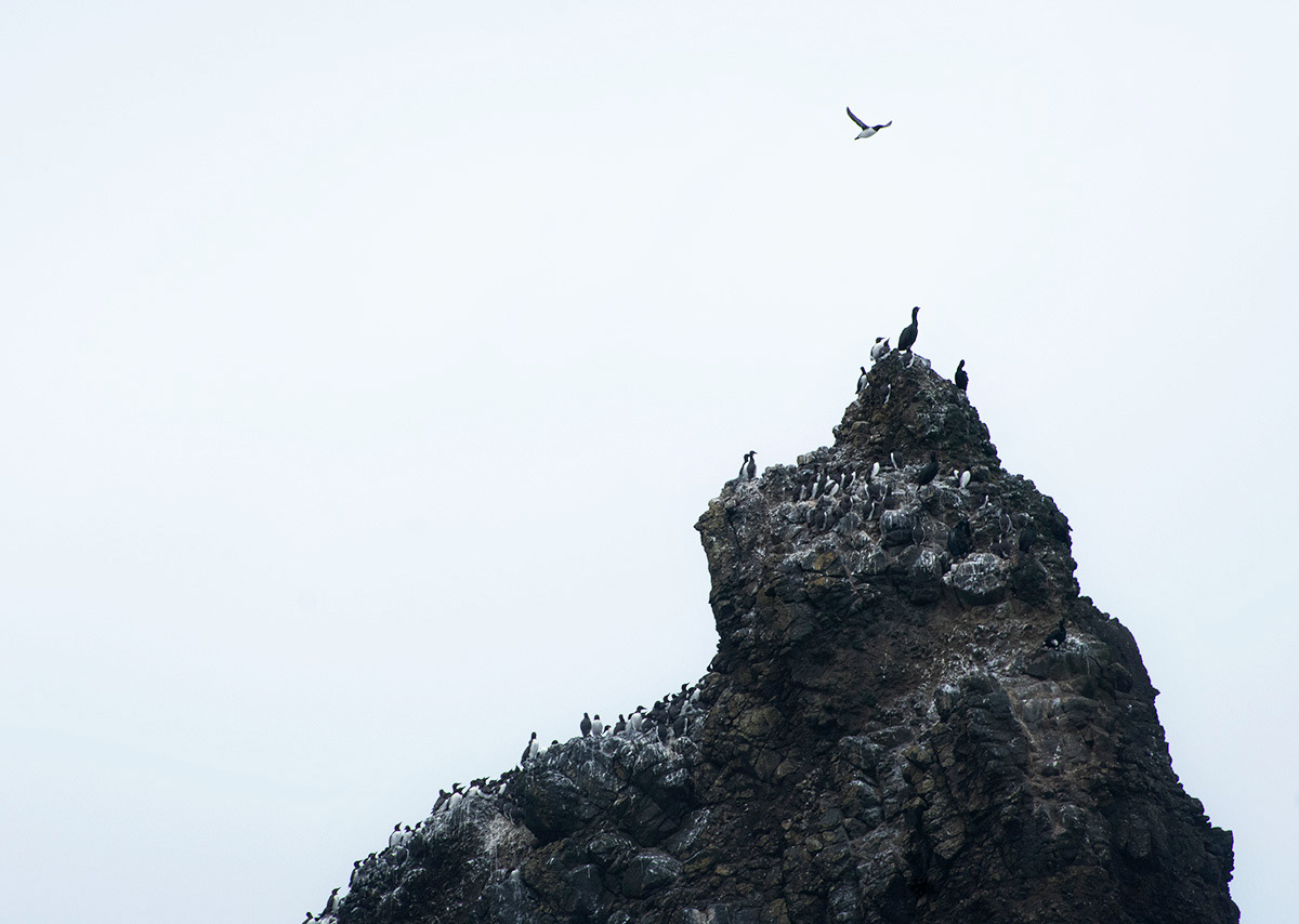 Oregon coast