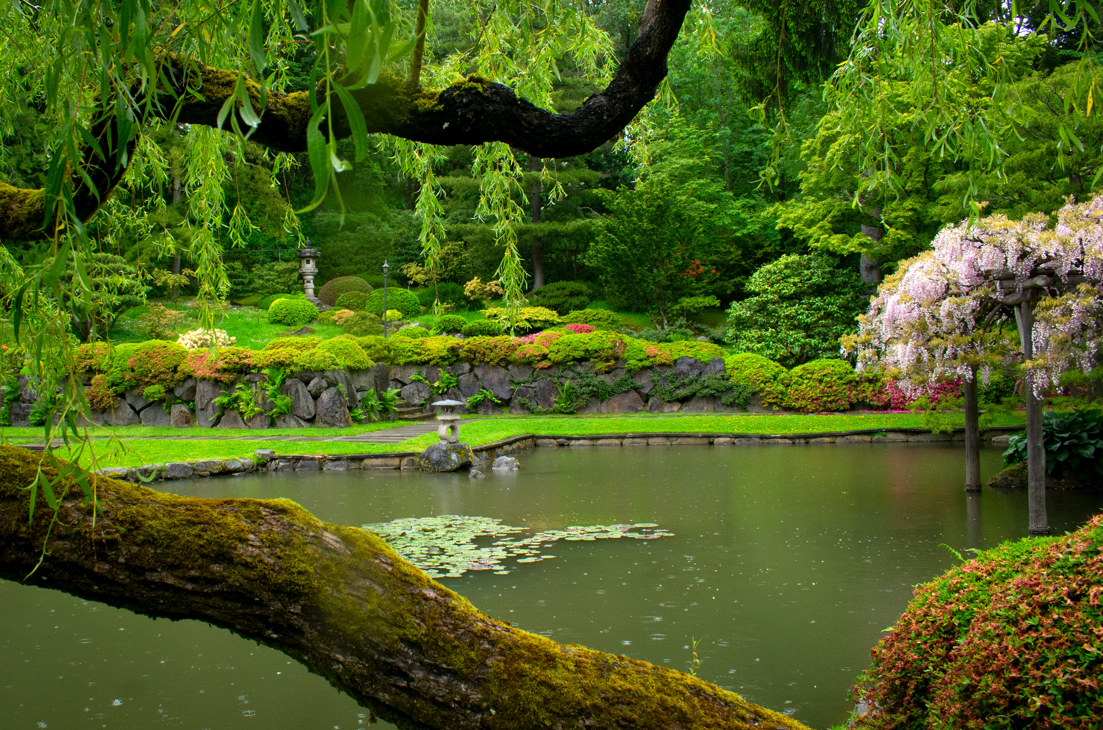 Seattle Japanese Garden