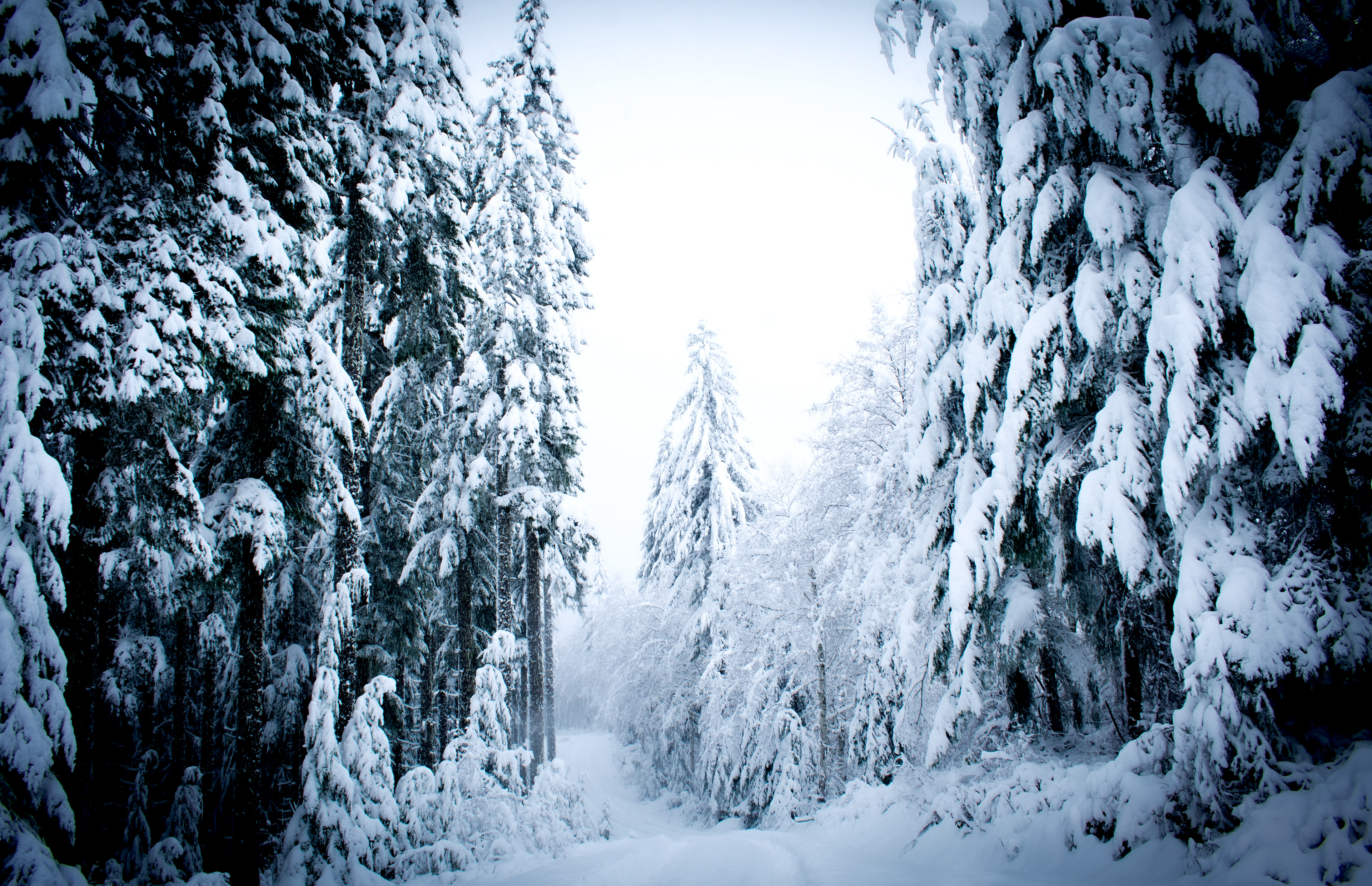 Oregon