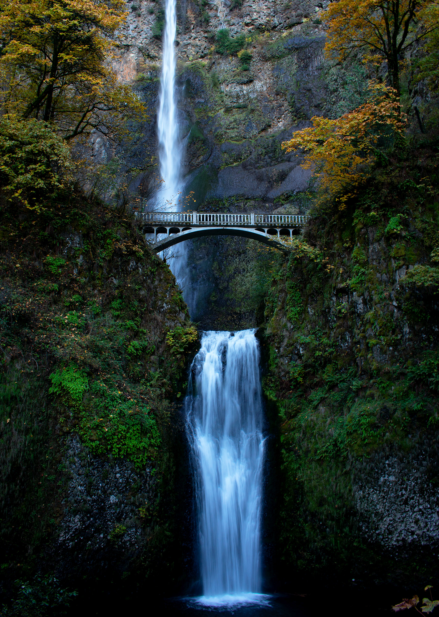 Multnomah Falls (Oregon)