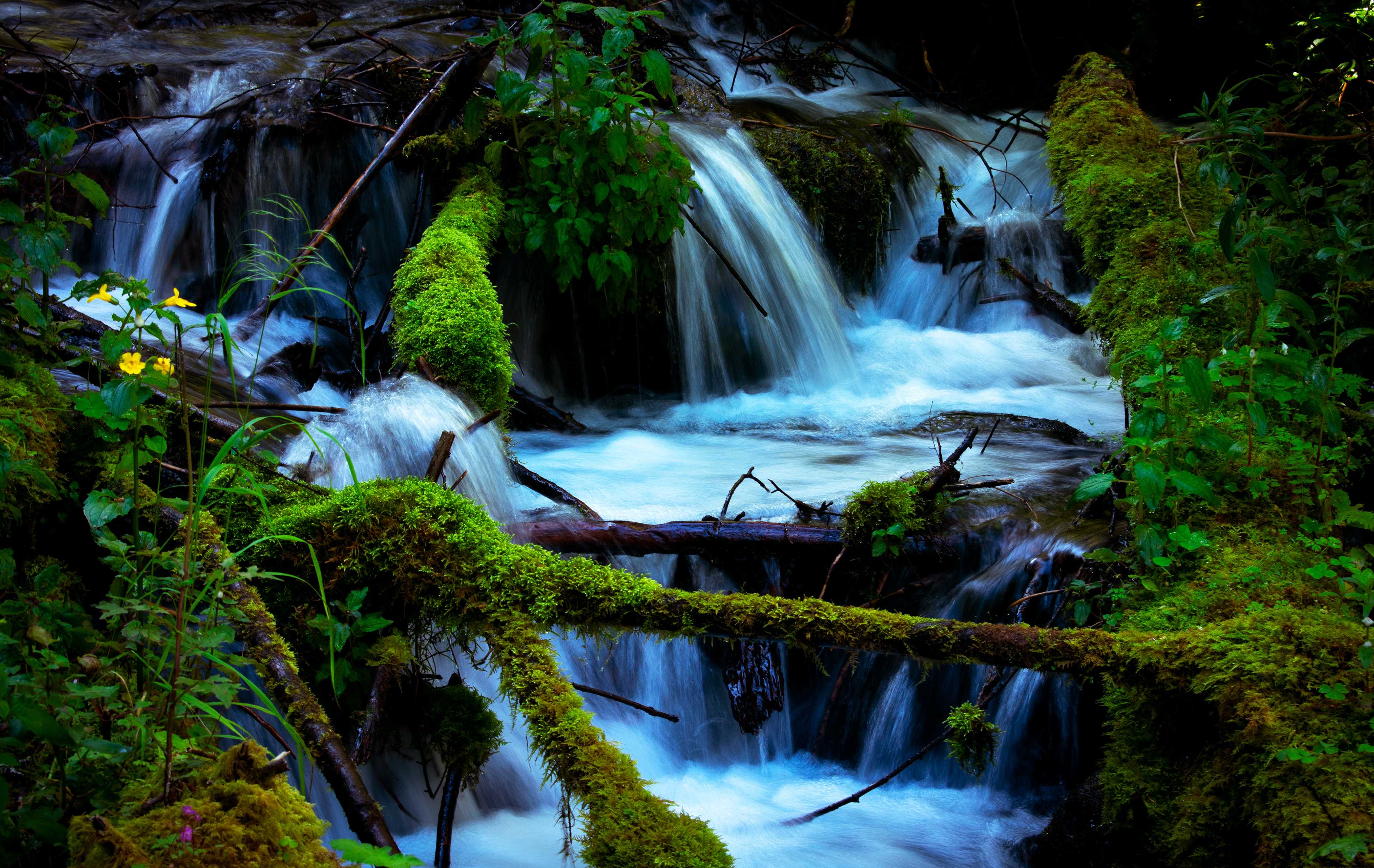 Trail to Fairy Falls (Oregon)