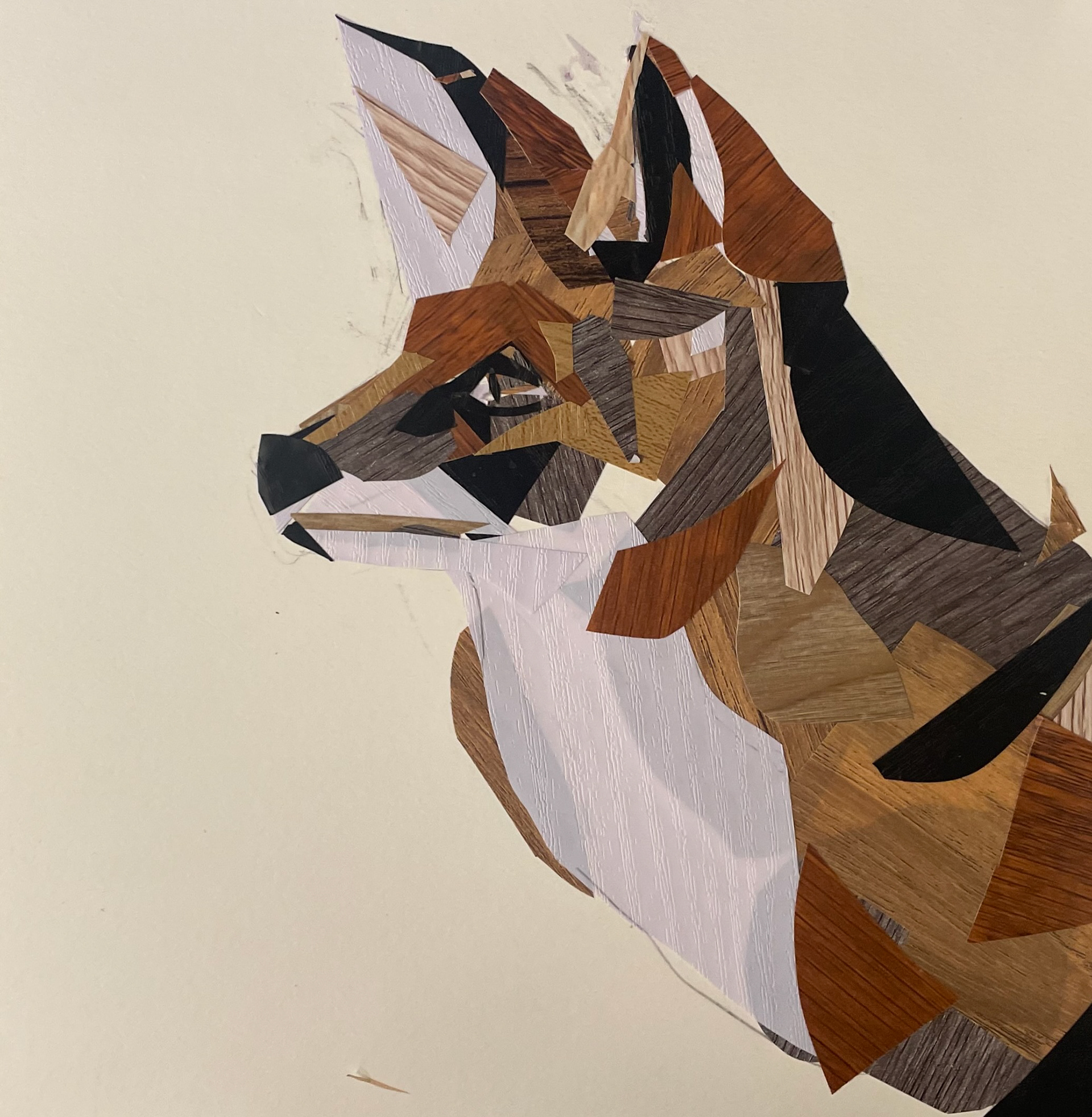 Fox Vinyl Allson Elizabeth, Vinyl Collage on Paper, 5x5 In, Winter 2022, Independent, In workshop with artist Alison Elizabeth Taylor at Addison Gallery of American Art