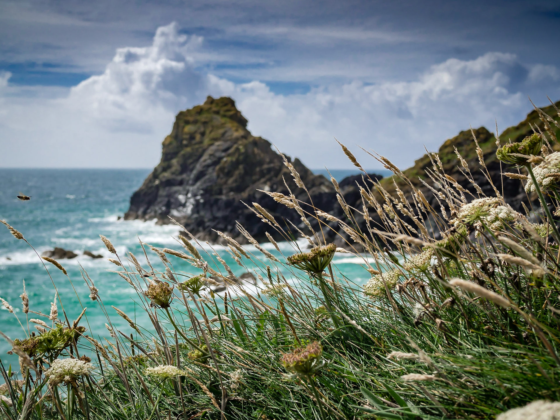 Coastline view from Kynance cove Cornwall