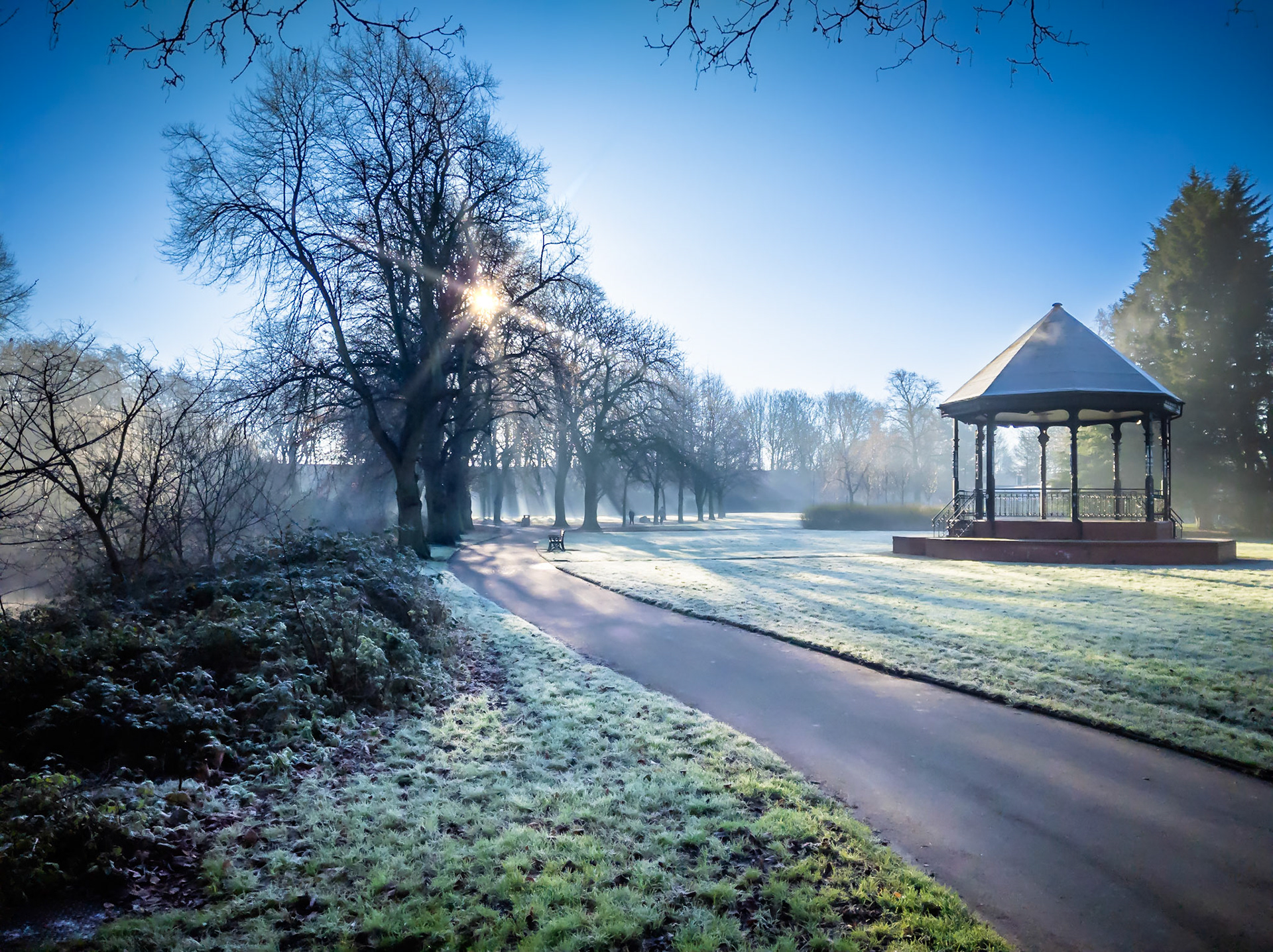 Winter Sunlight through the trees Riversley Park Warwickshire