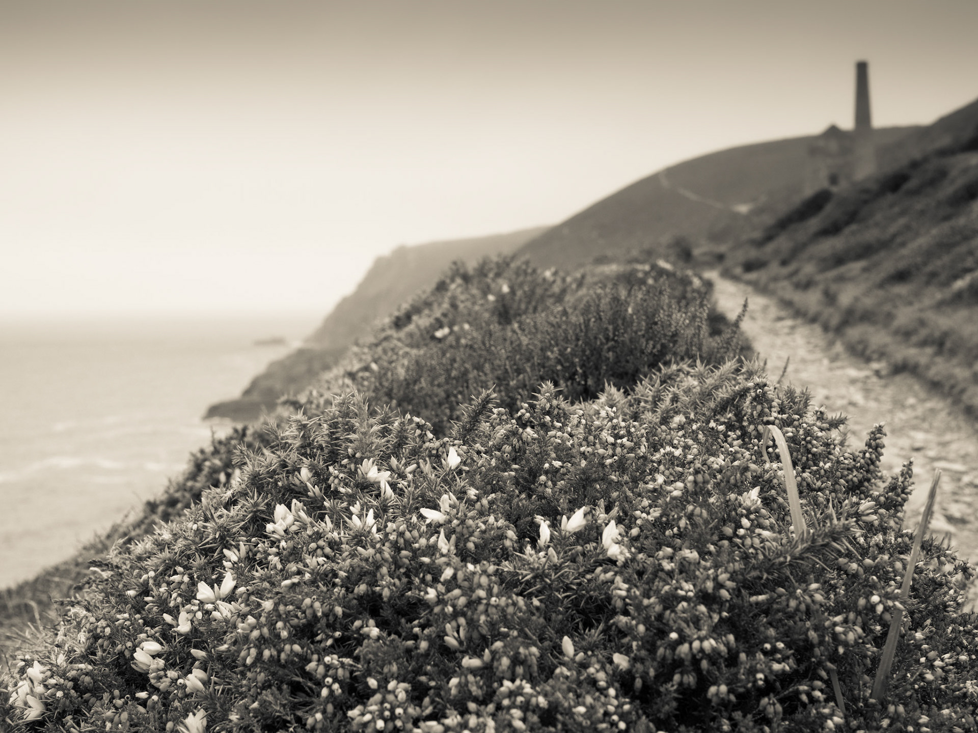 Coastline view of Towanroath pumping engine house Chapel Porth Cornwall