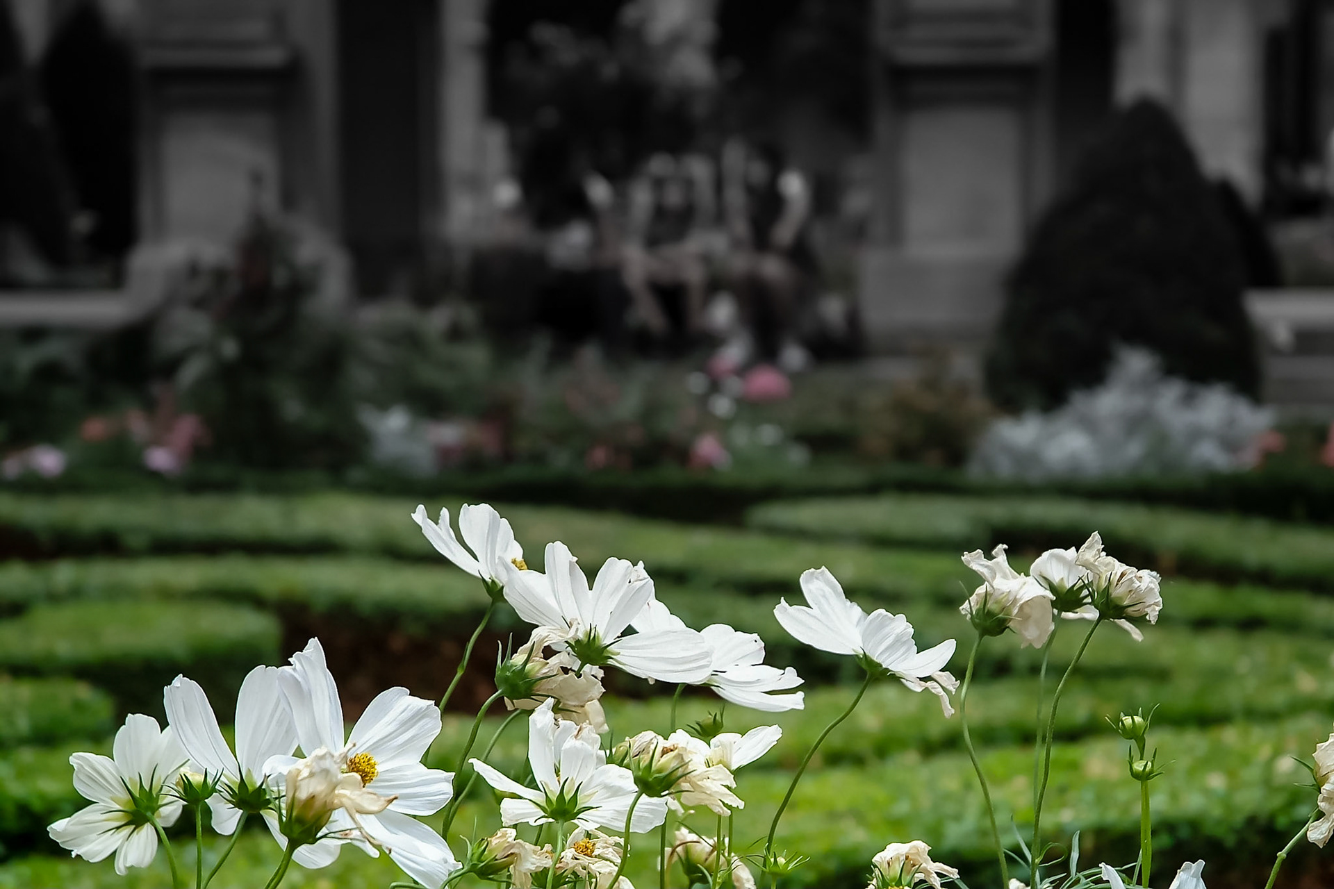 Courtyard garden in Paris