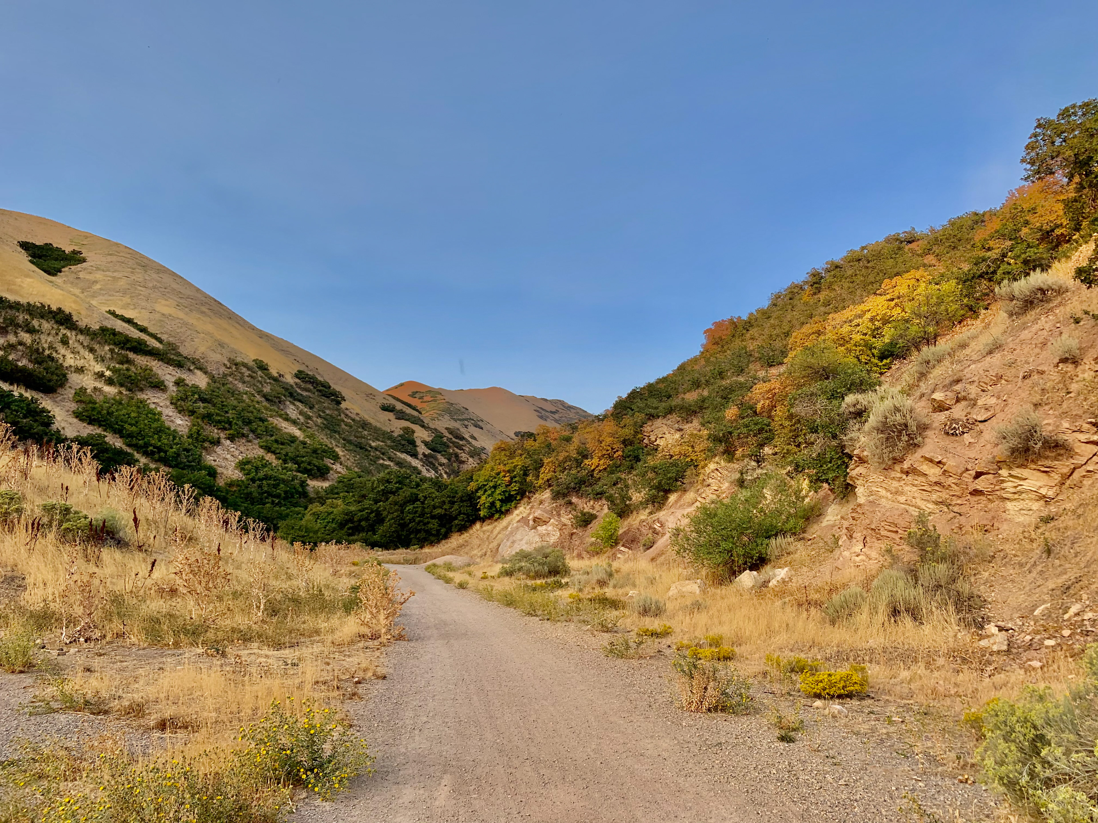 Salt Lake City, UT