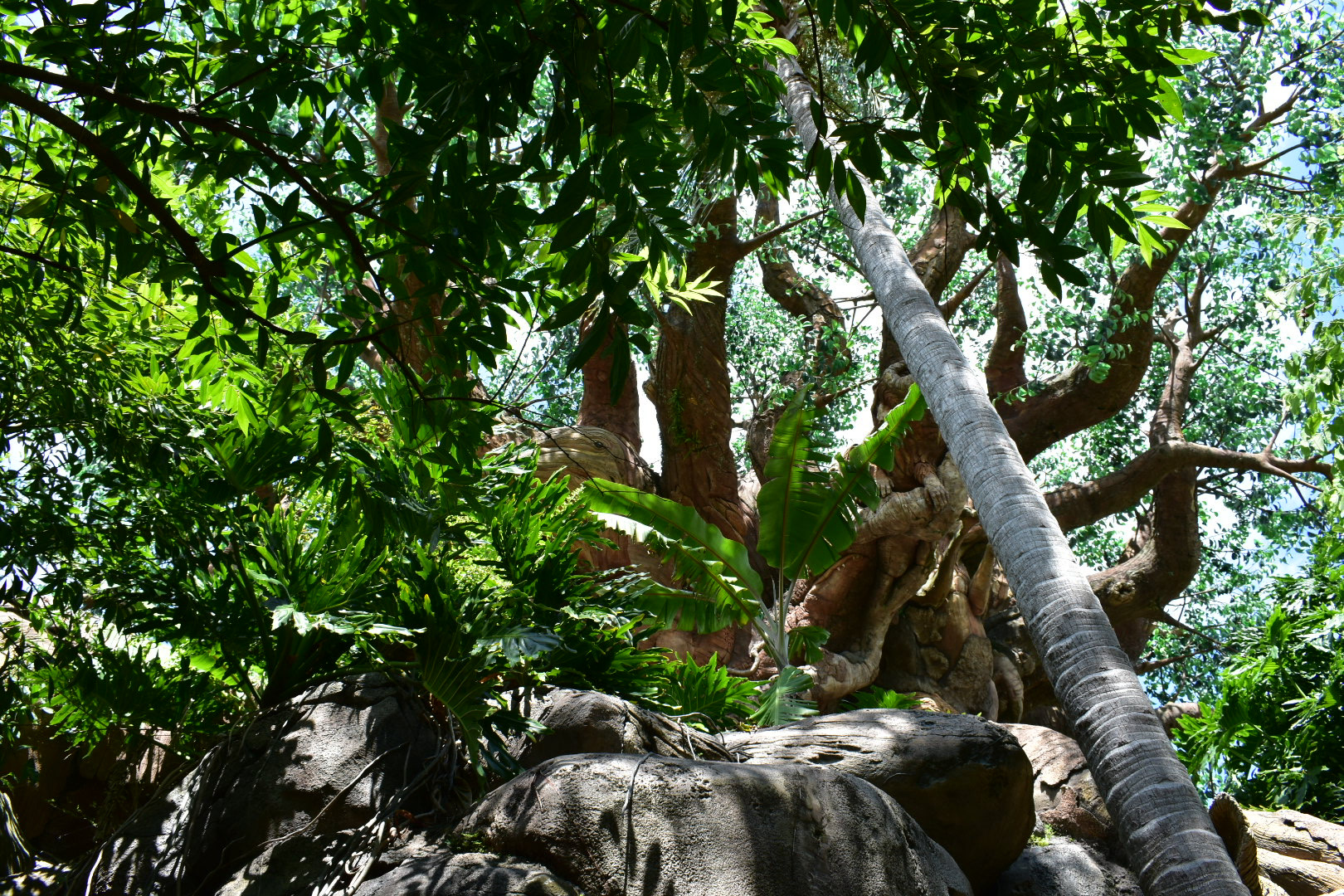 Walt Disney World, FL