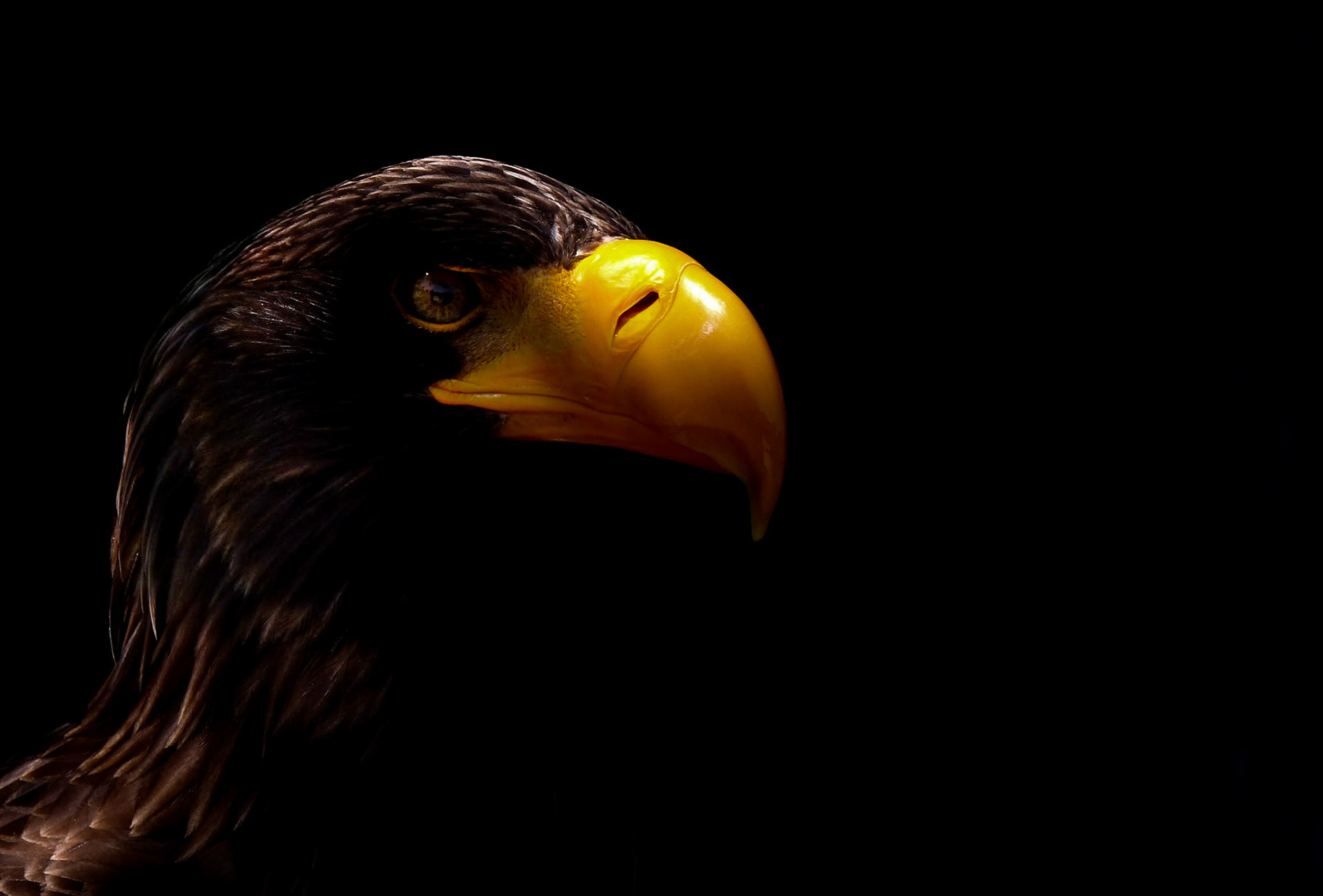 Regarde le monde comme tu aimerais que le monde te regarde...