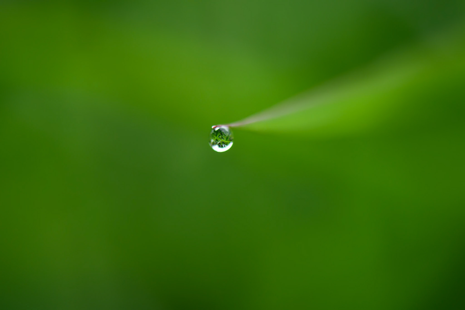 Suspendue au fil du temps, cette goutte d’eau fragile capture un monde à elle seule. Éclat de lumière et miroir de l’infini, elle révèle l’immensité cachée dans l’éphémère. Entre simplicité et vertige, elle invite à plonger au cœur d’un univers miniature, où chaque détail raconte une histoire sans fin.