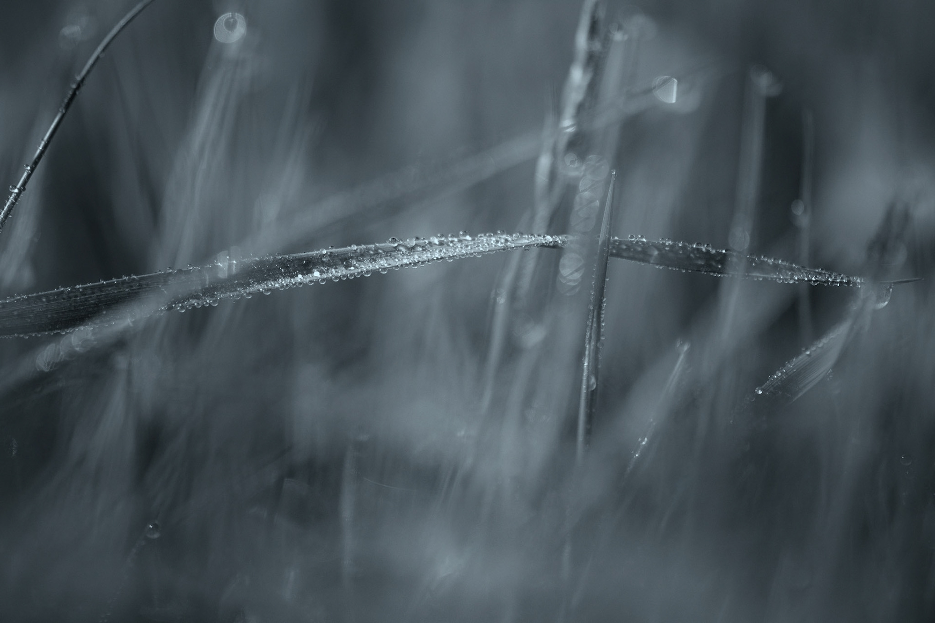 Le courage c'est de se lever chaque matin.Chaque matin pour recommencer une journée.Une journée à faire semblant.Semblant d'aller bien... Le courage c'est de choisir la vie...La vie qui t'a pourtant abimée.Abimée de tout les côtés.Le courage c'est de penser qu'un jour le vent va tourner...Tourner du bon côté.Alors je me lève chaque matin...