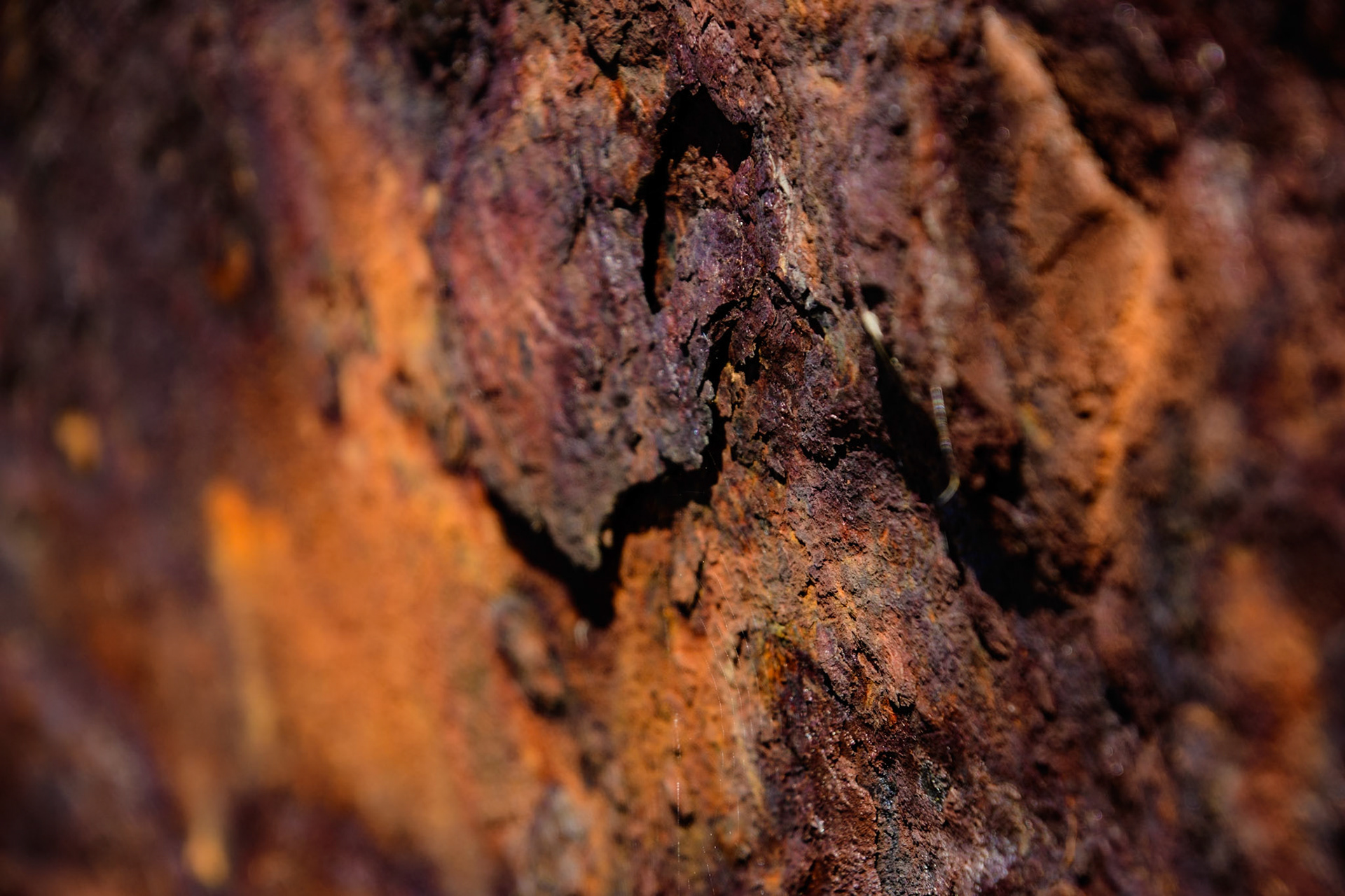 La rouille me fascinera toujours autant...Je pourrais la regarder des heures durant que je n’arriverais pas à en définir sa couleur.A la fois ocre, à la fois terre, la lumière qu’elle renvois n’en est que plus belle.J’aime ce qu’elle raconte.A l’image de la vie, la rouille n’ a besoin que d’eau et d’oxygène pour exister.Et pourtant elle fragilise les matériaux les plus durs que sont le fer et l’acier.Un soir, juste avant le coucher du soleil, à l’heure dorée, observez la rouille des bateaux sur le port.Ecoutez ce qu’elle a à vous dire… La vie est plus forte que tout…"