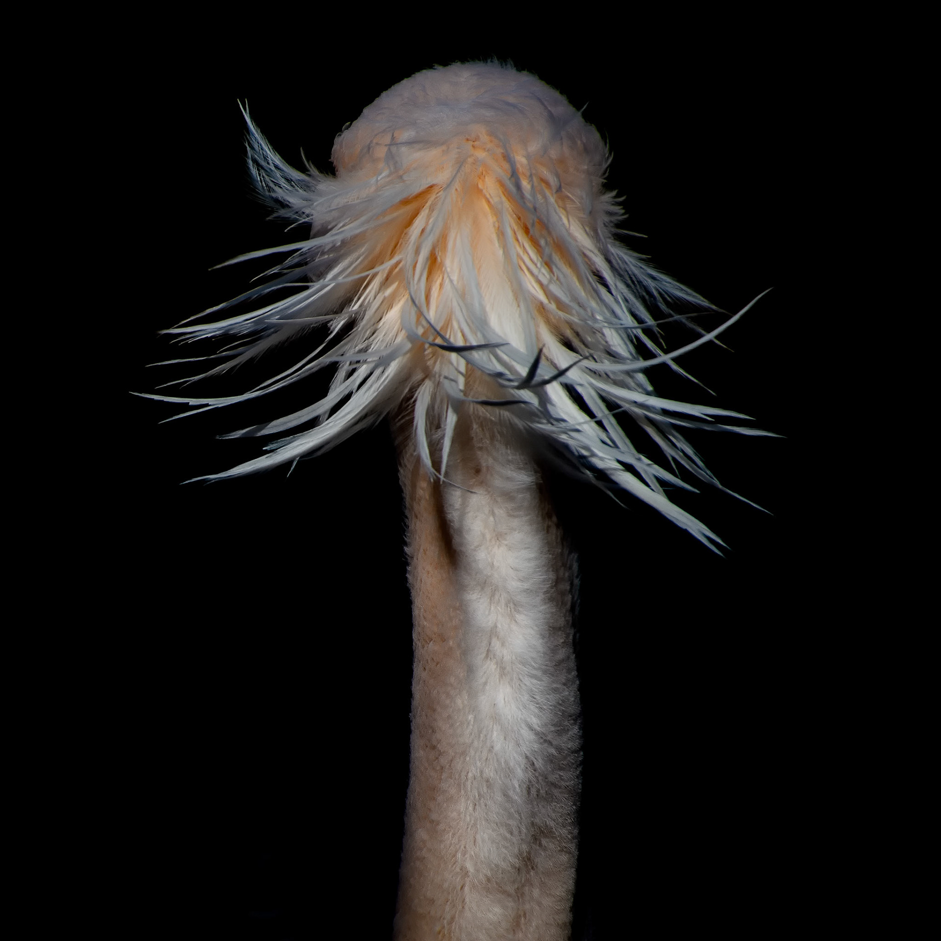 Ne pas plier sous le poids des épreuves.Rester droit et léger.Toujours…Pour ne pas s’enfoncer.Se nourrir de ce que la vie à de plus beau et s’empresser d’en oublier le reste.Voilà le secret.