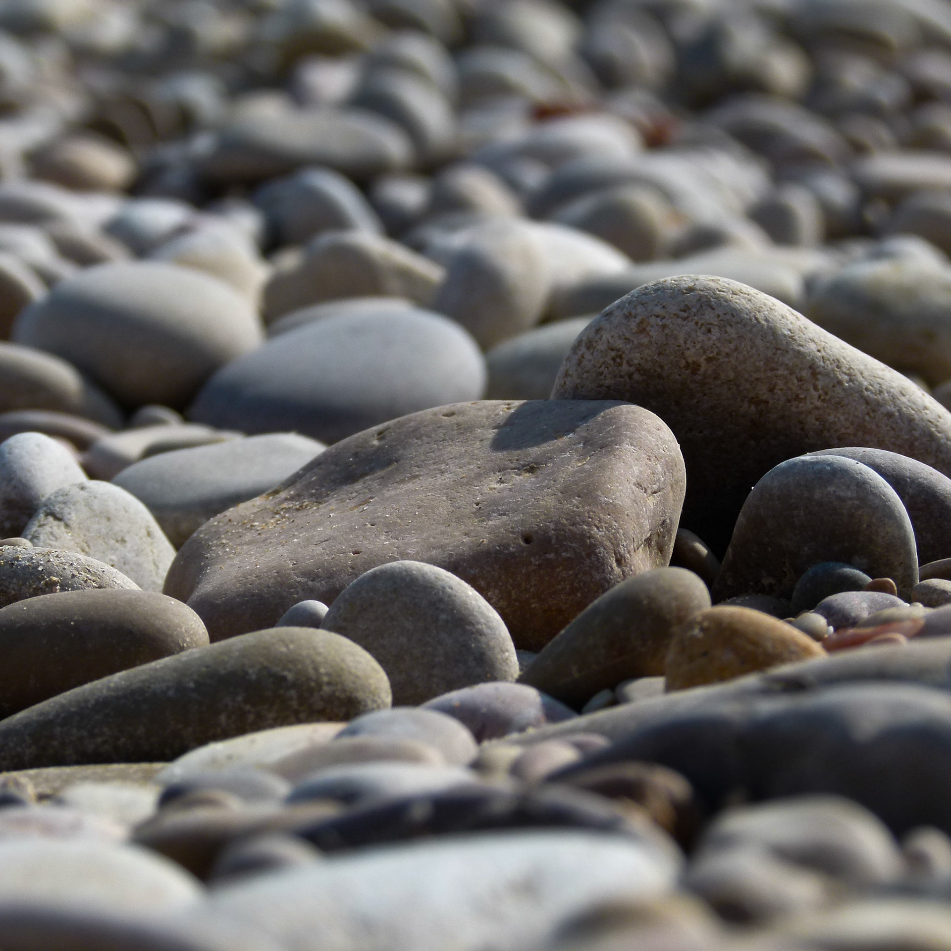 Adossés, ils tiennent debout. Parfois l'équilibre naît d'un simple appui mutuel...