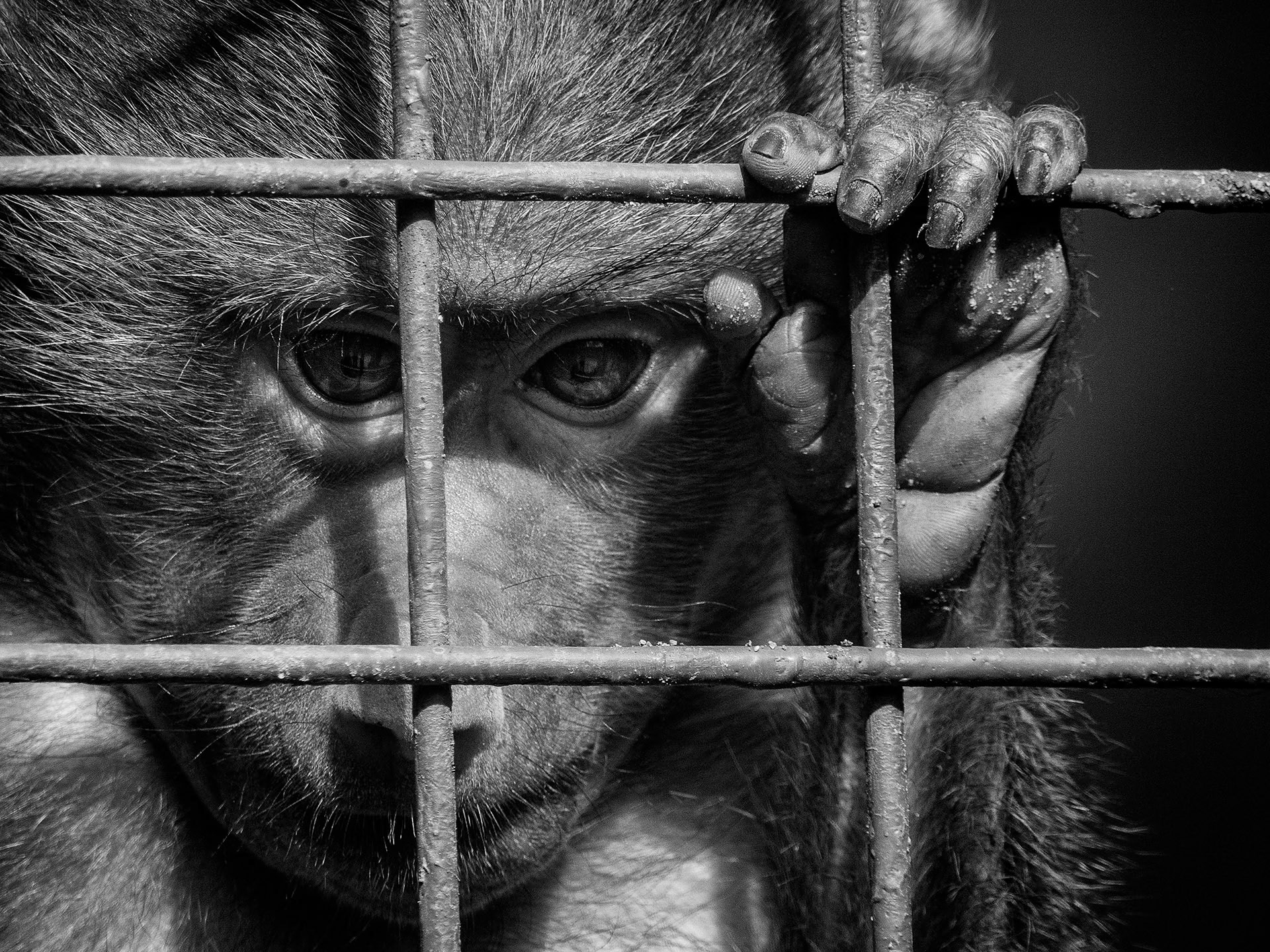 Il est des regards qui en disent long et qui se passent de commentaire...