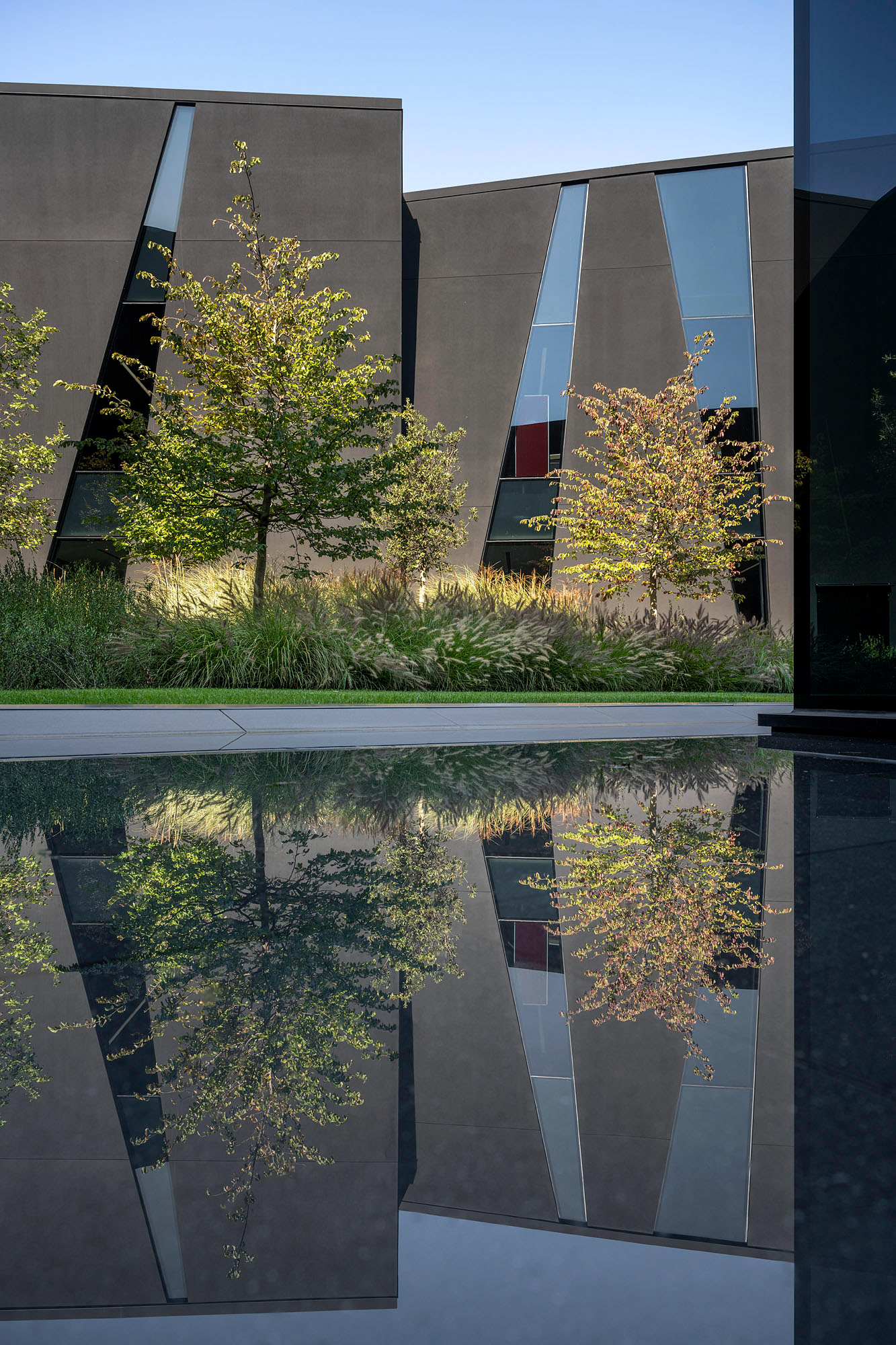 Frassinago per Chromavis