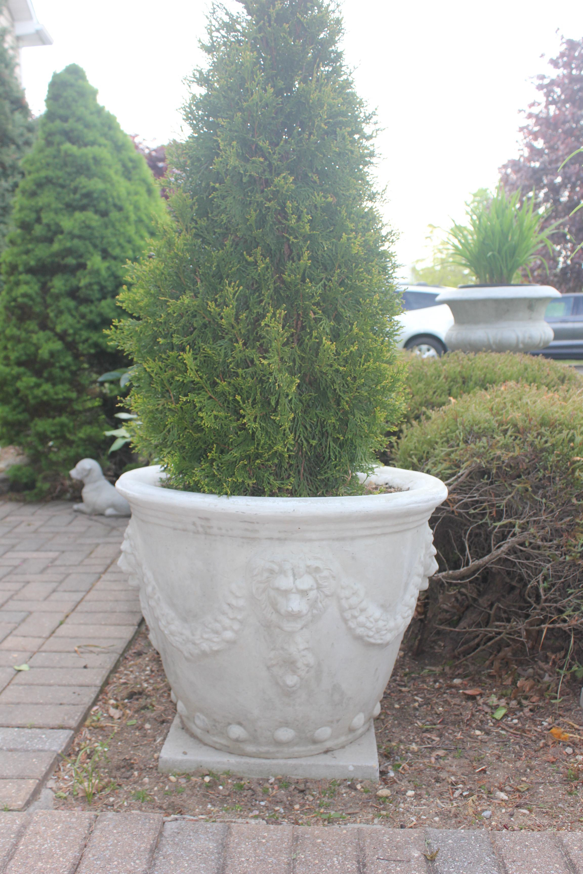 John's Concrete Art Lion Planter