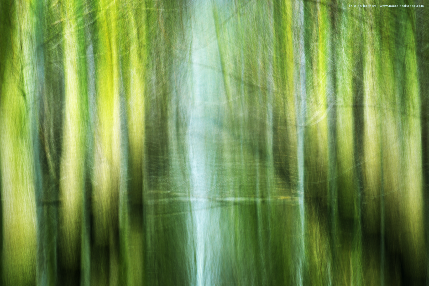 The Garden of Mirrors II