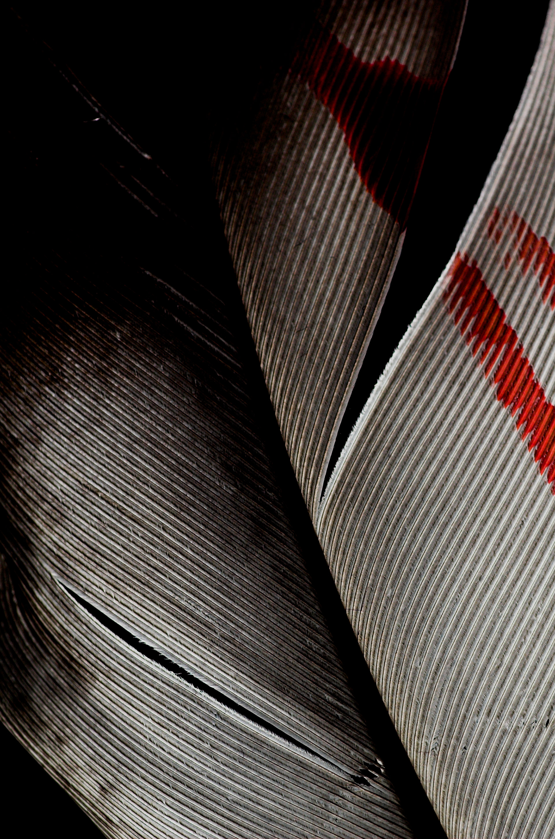 Poster Photography for The Royal Welsh College of Music & Drama