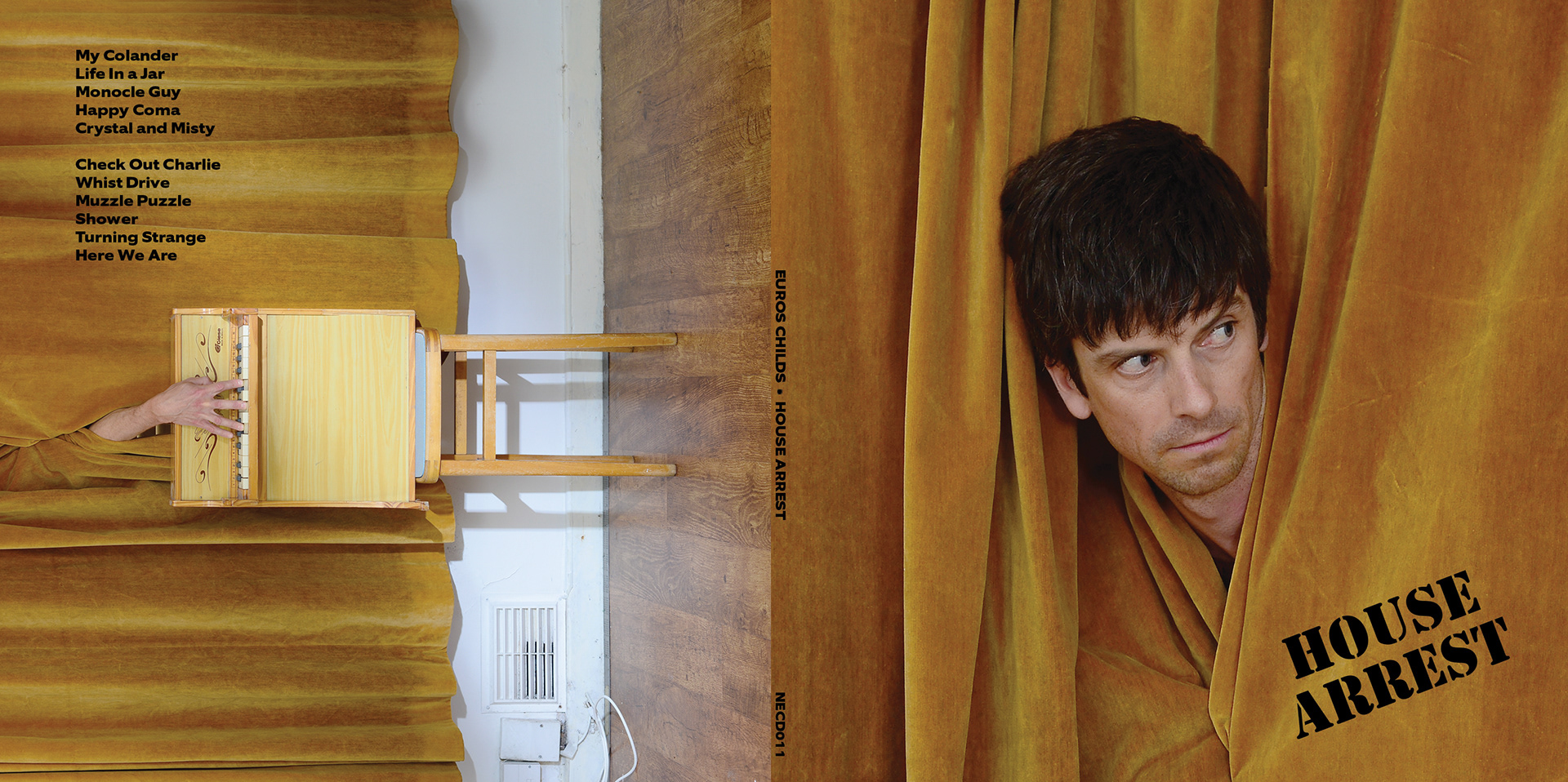 Album Photography and Design for Euros Childs For 'House Arrest'