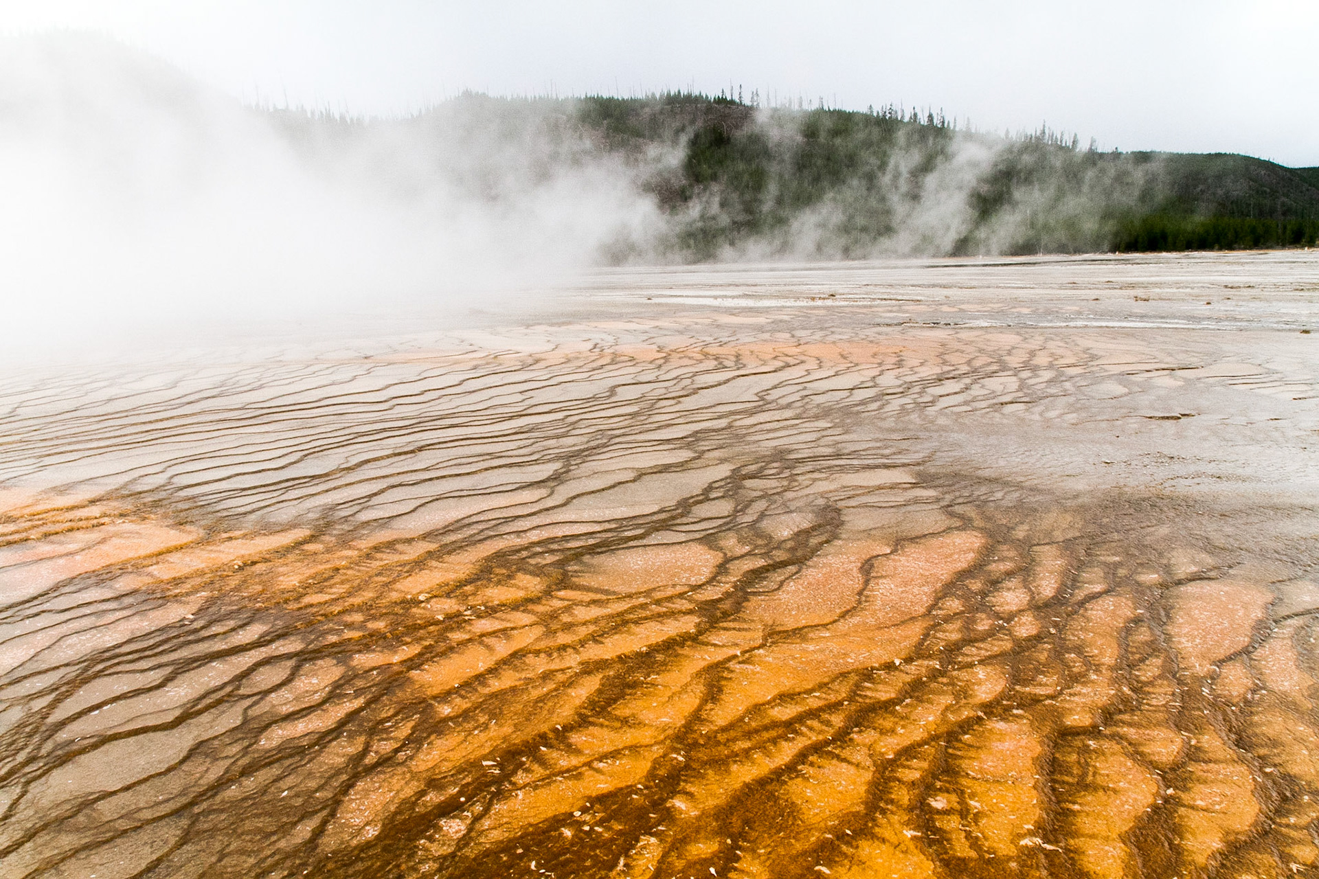 Midway Geyser Basin contains a small collection of mammoth-sized springs. Midway is part of the Lower Geyser Basin, but because of its isolated location between the main features of Lower and Upper geyser basins it became known as Midway. Rudyard Kipling, who visited Yellowstone in 1889, immortalized this basin by referring to it as "Hell's Half Acre."
