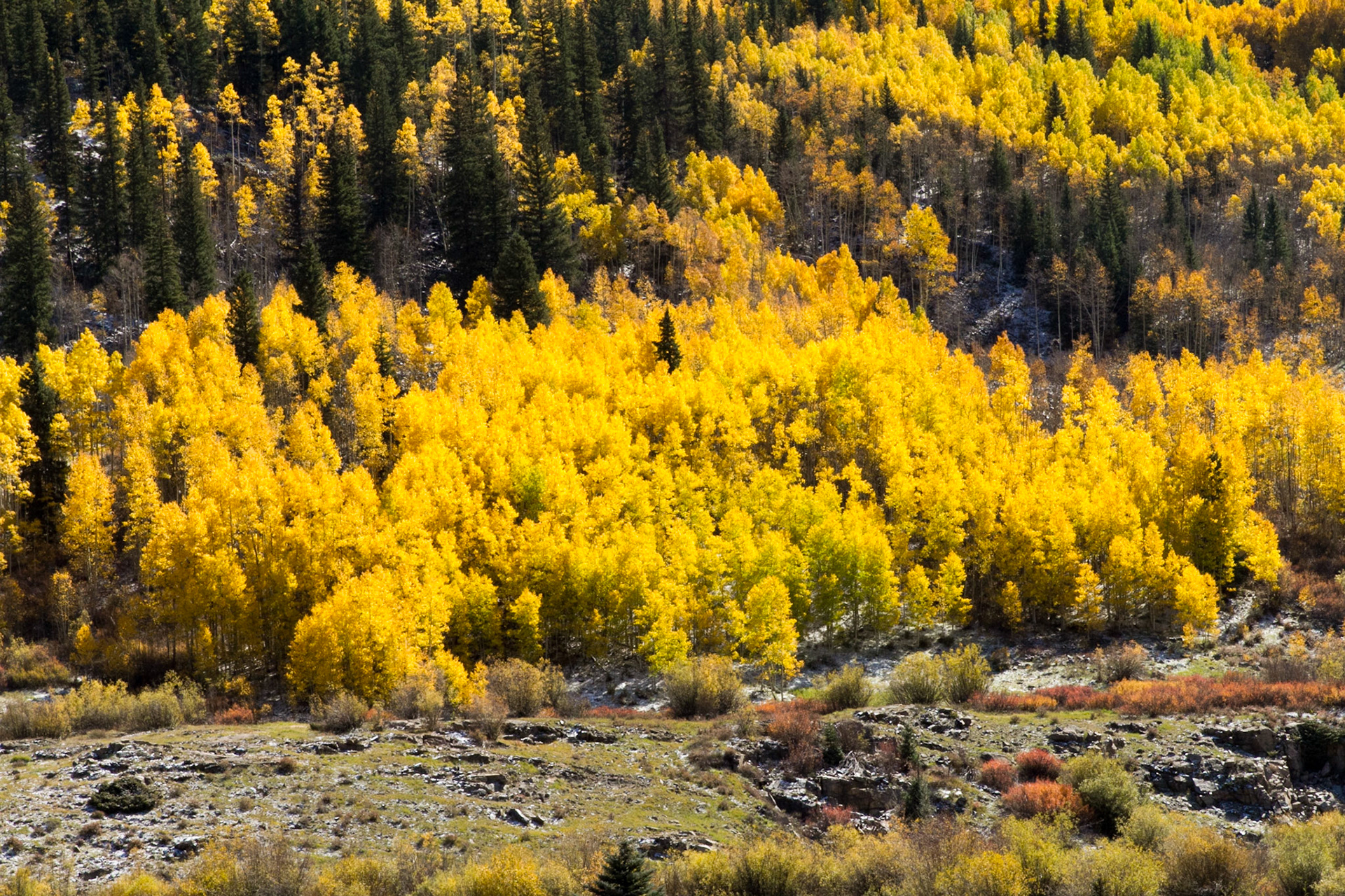 The Durango and Silverton Narrow Gauge Railroad is a narrow gauge heritage railroad that operates 45 miles of 3 ft track between Durango and Silverton, in the US state of Colorado.