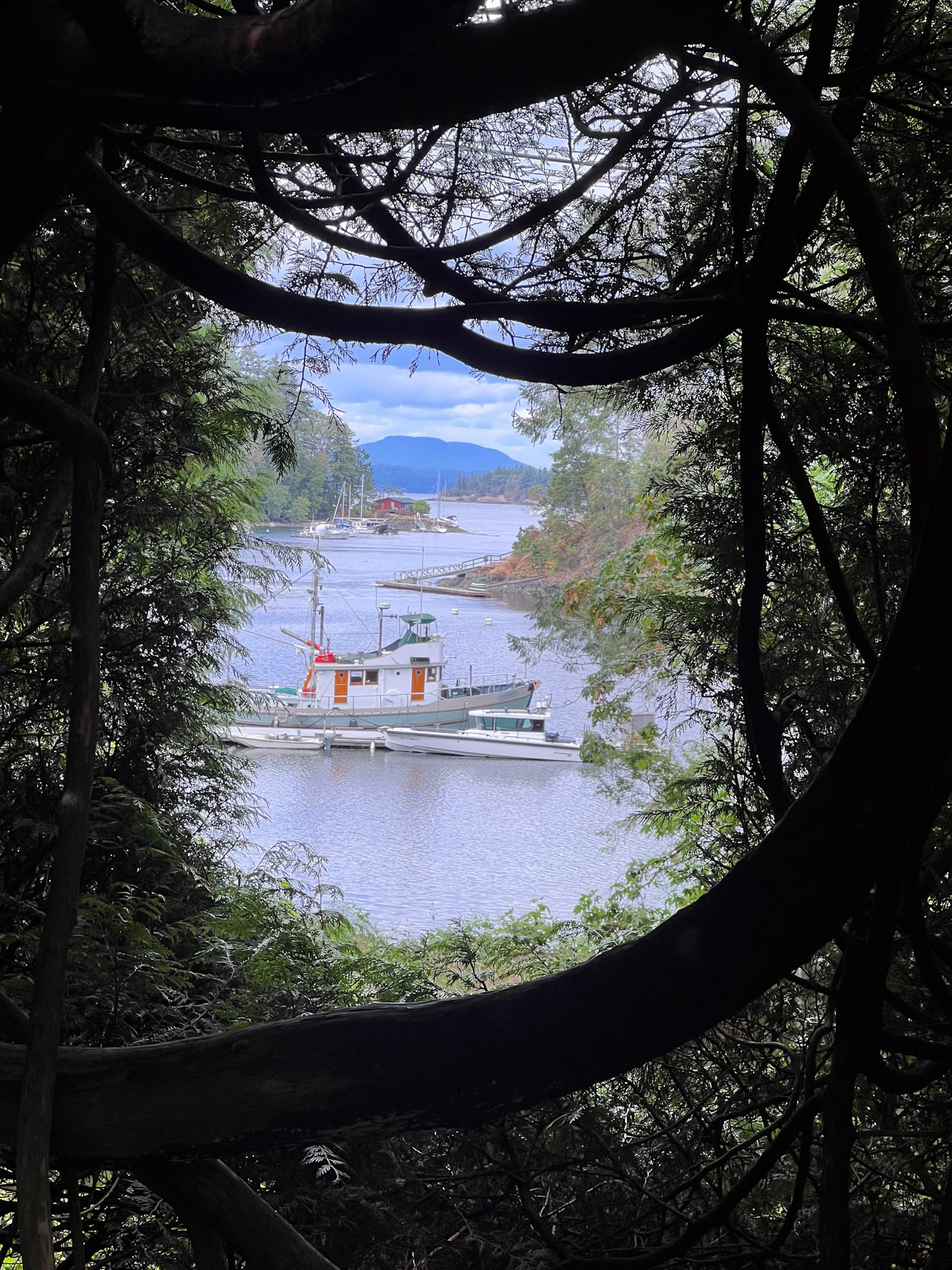 The Buchart Gardens, Victoria