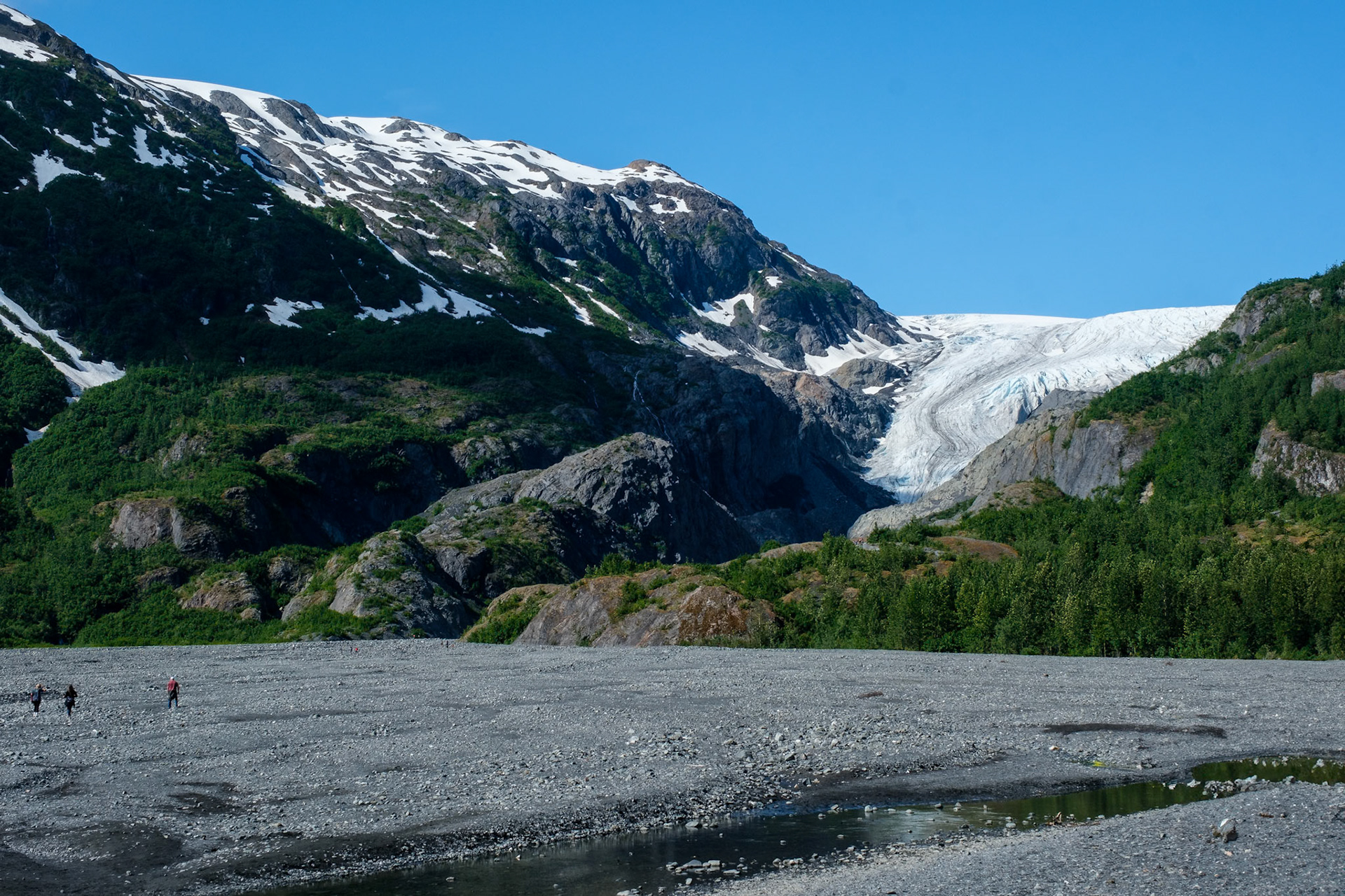 Kenai Fjords National Park's Exit Glacier, Seward