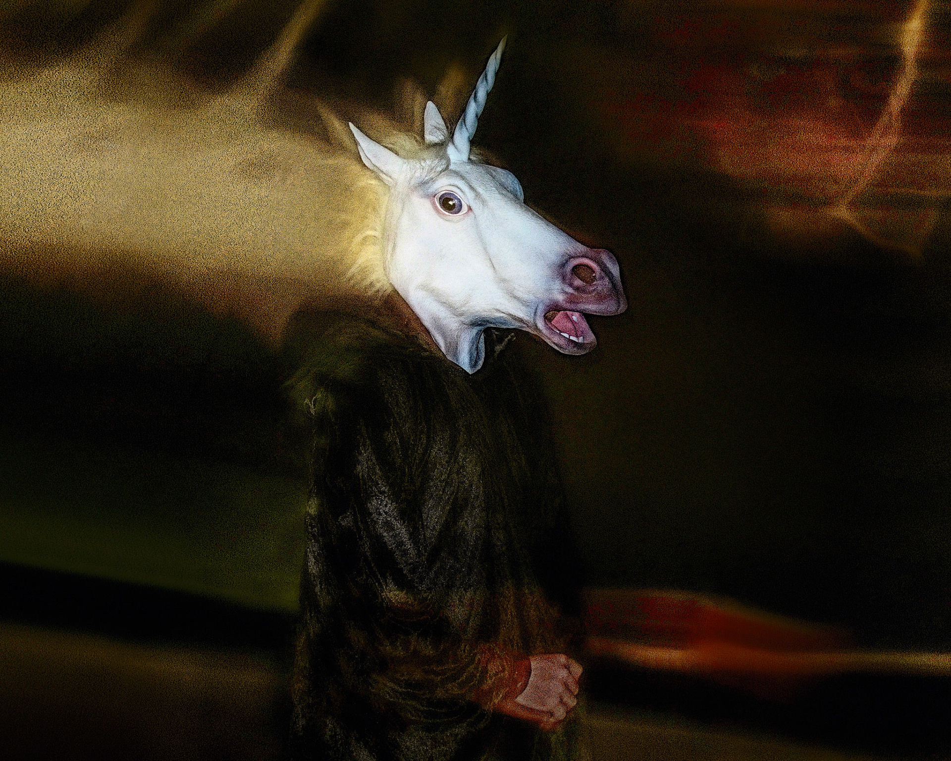 The Frightened Unicorn