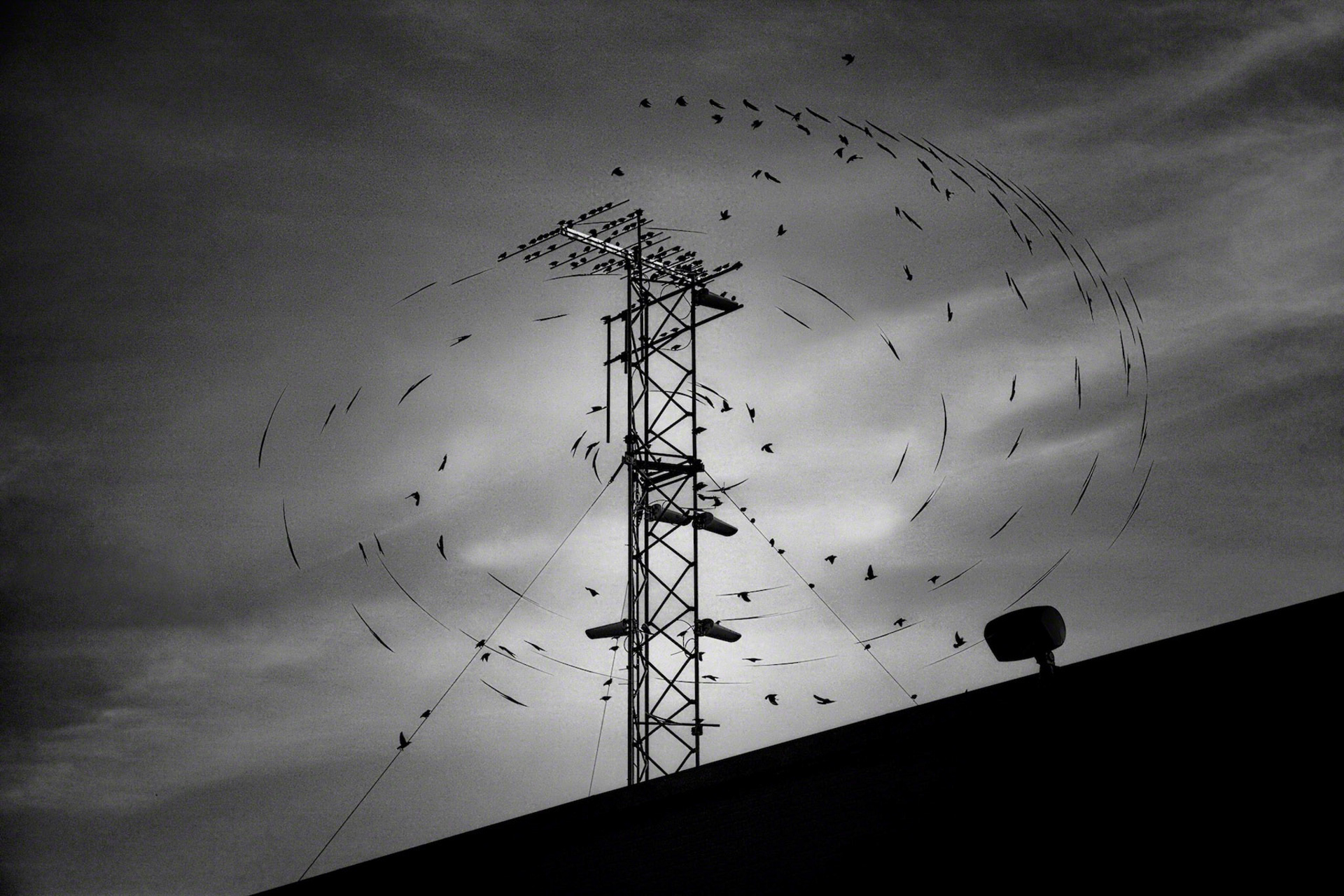Turning and turning in the widening gyre
