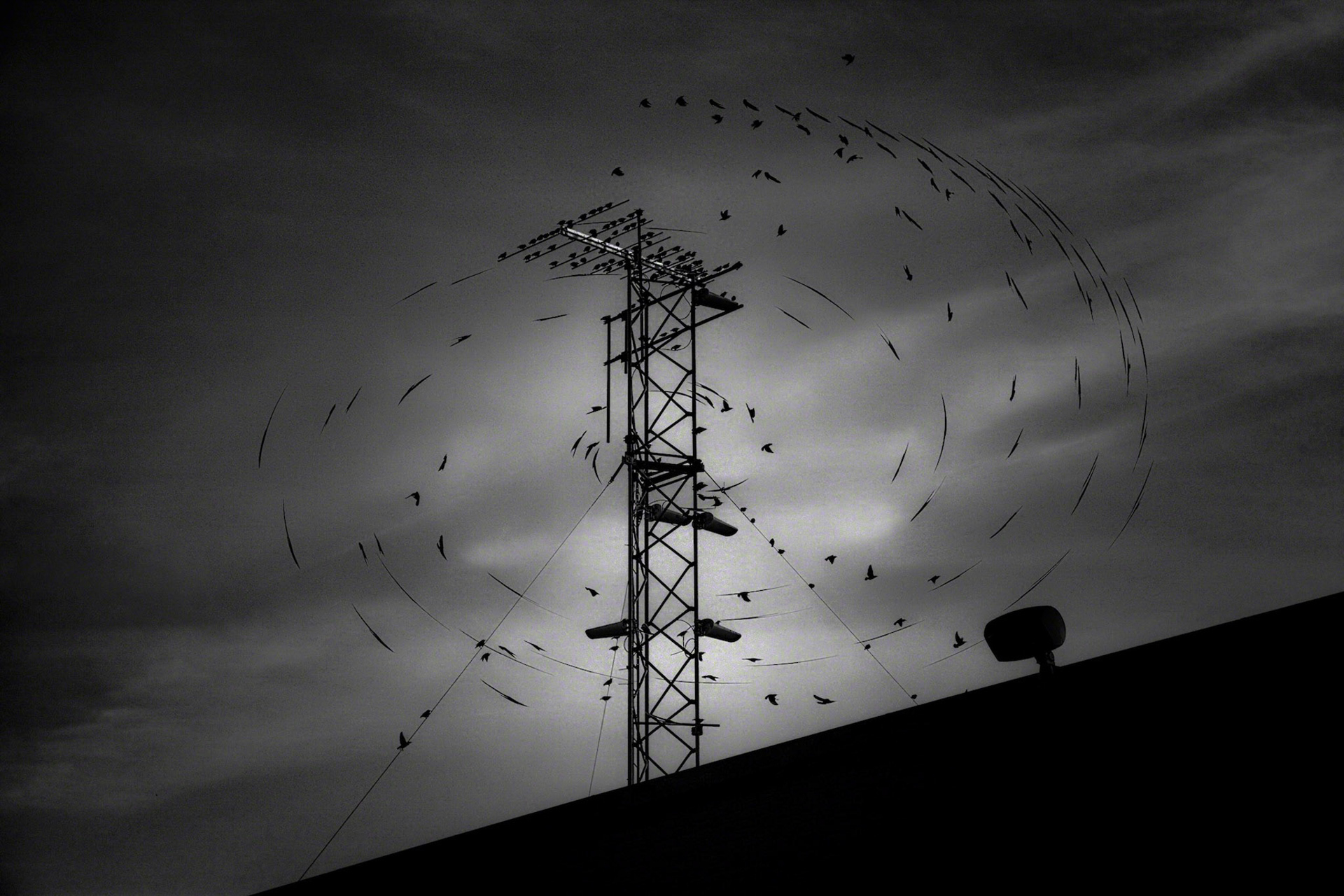 Turning and turning in the widening gyre