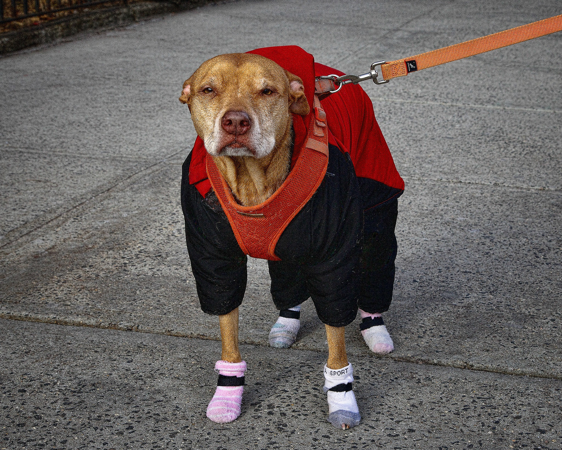 Unfortunate Fashion Victim of the Cold