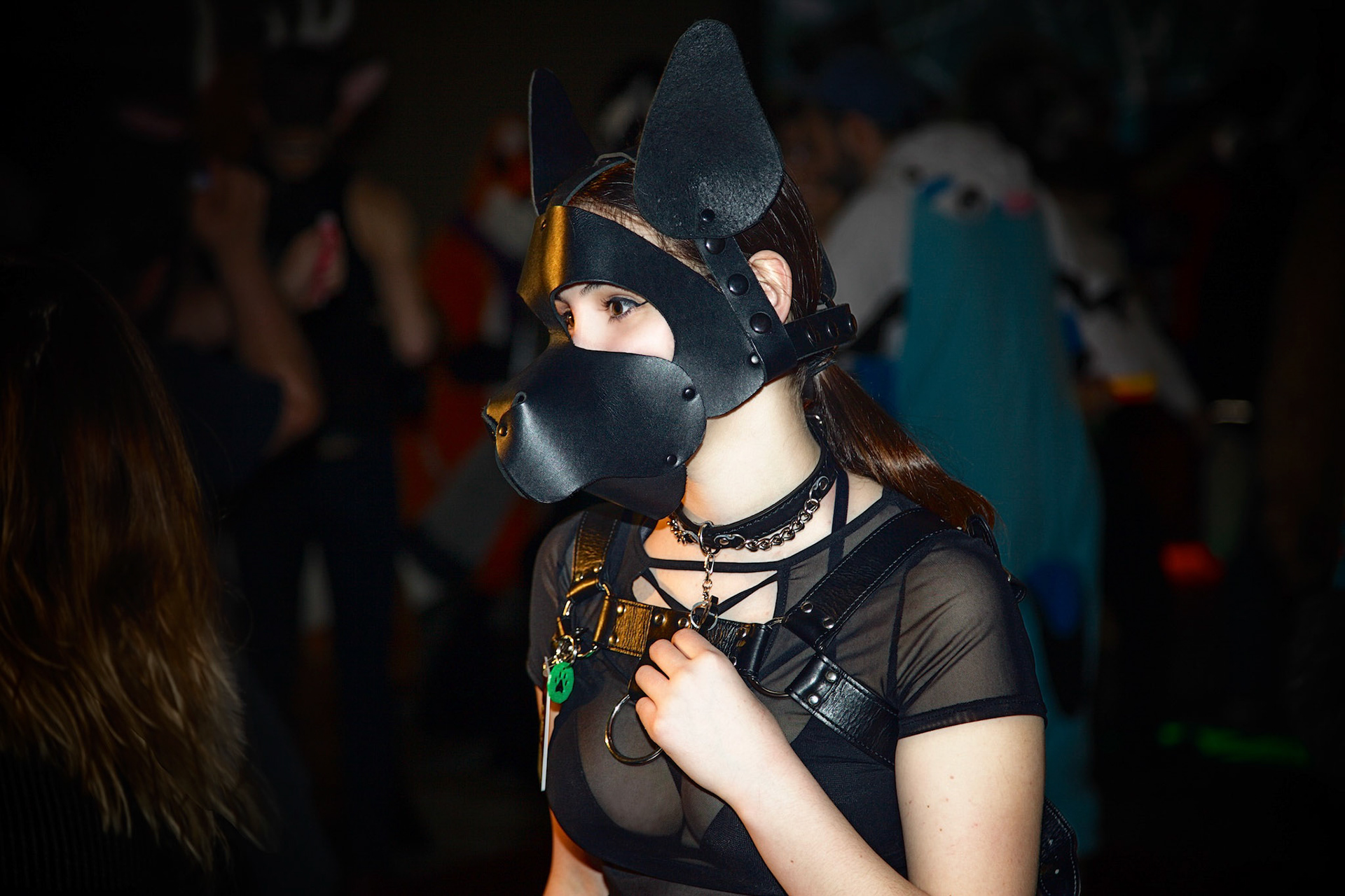 Woof! Woof!