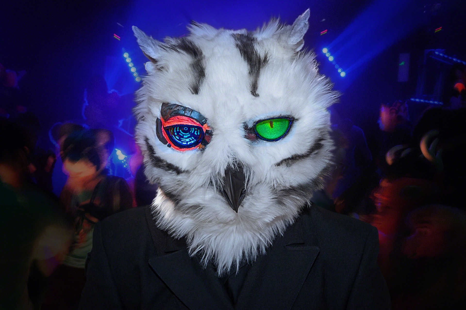 I can feel the night
in your wild eyes