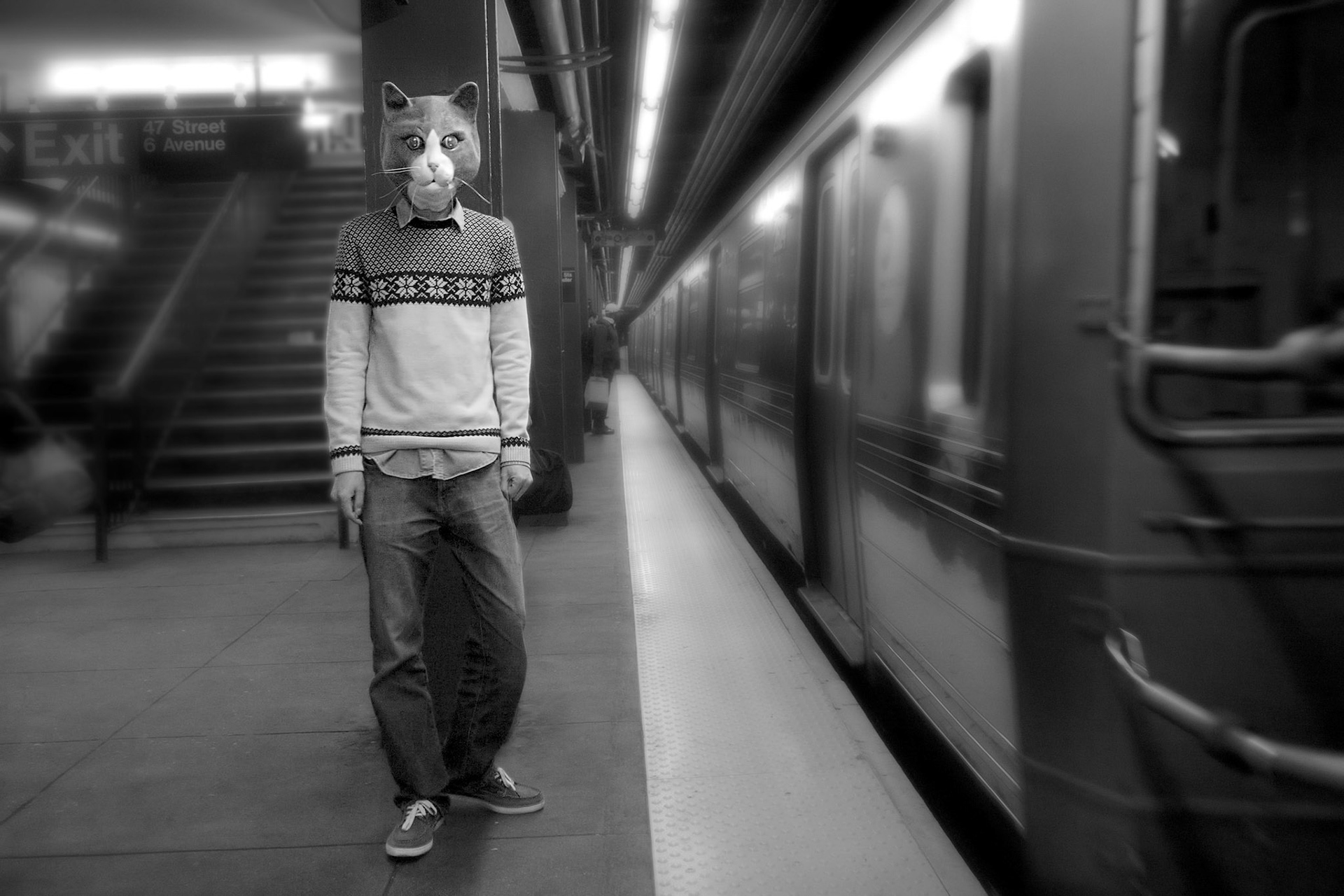 The Cat on the Platform