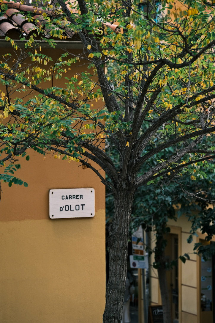 Tree and street sign: Carrer d’en Gignàs A corner where time pauses under leaves.