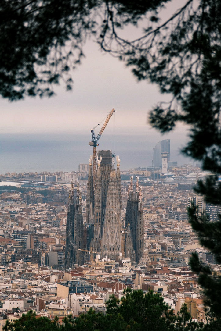 Sagrada Família through the trees: A sacred silhouette framed by quiet nature.